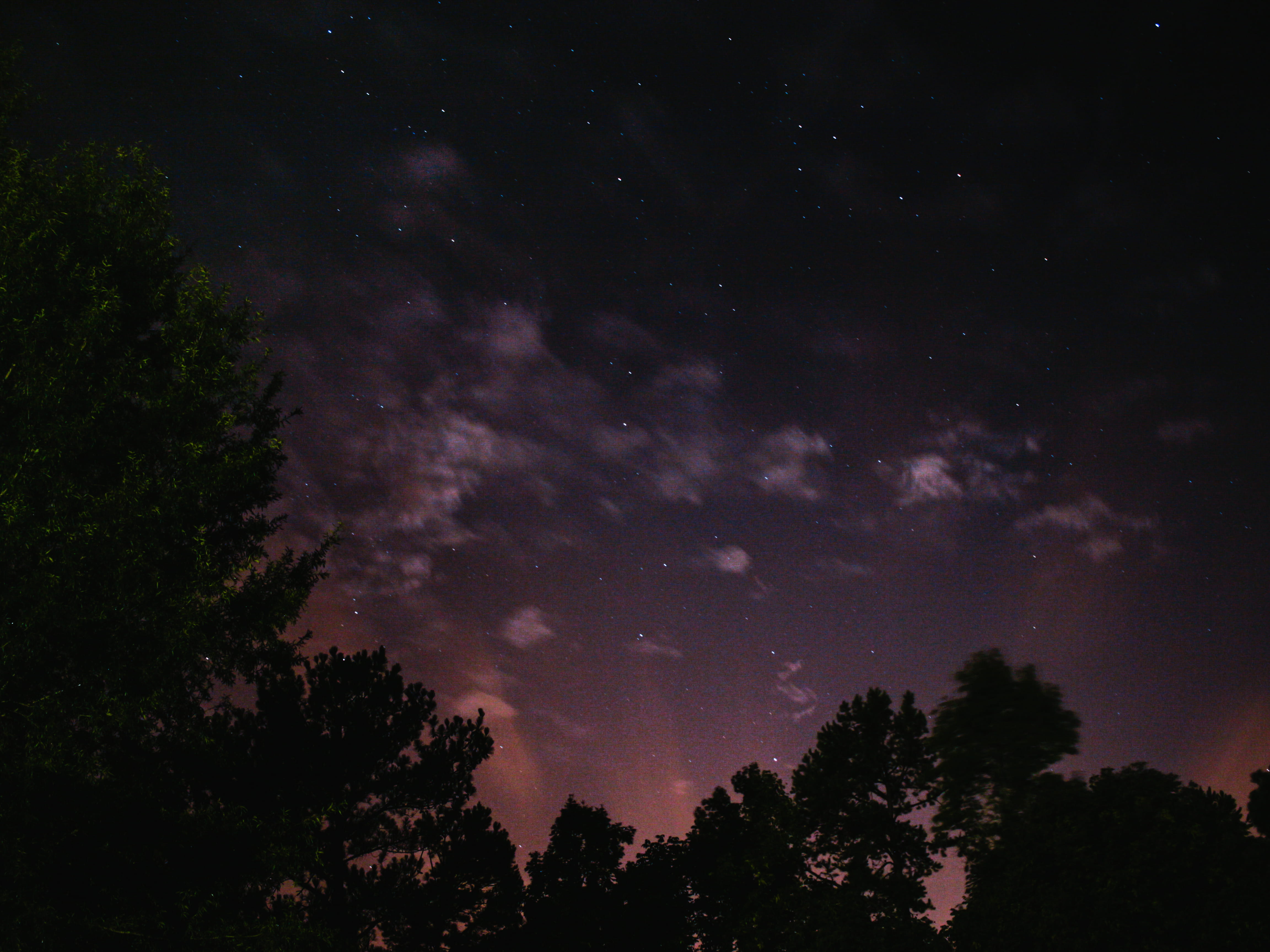 tree, scenics - nature, star - space, sky, starry sky, evening, galaxy, 4K, tranquil scene, astronomy, trees, outdoors, star, woodland, night, constellation, HD Wallpaper