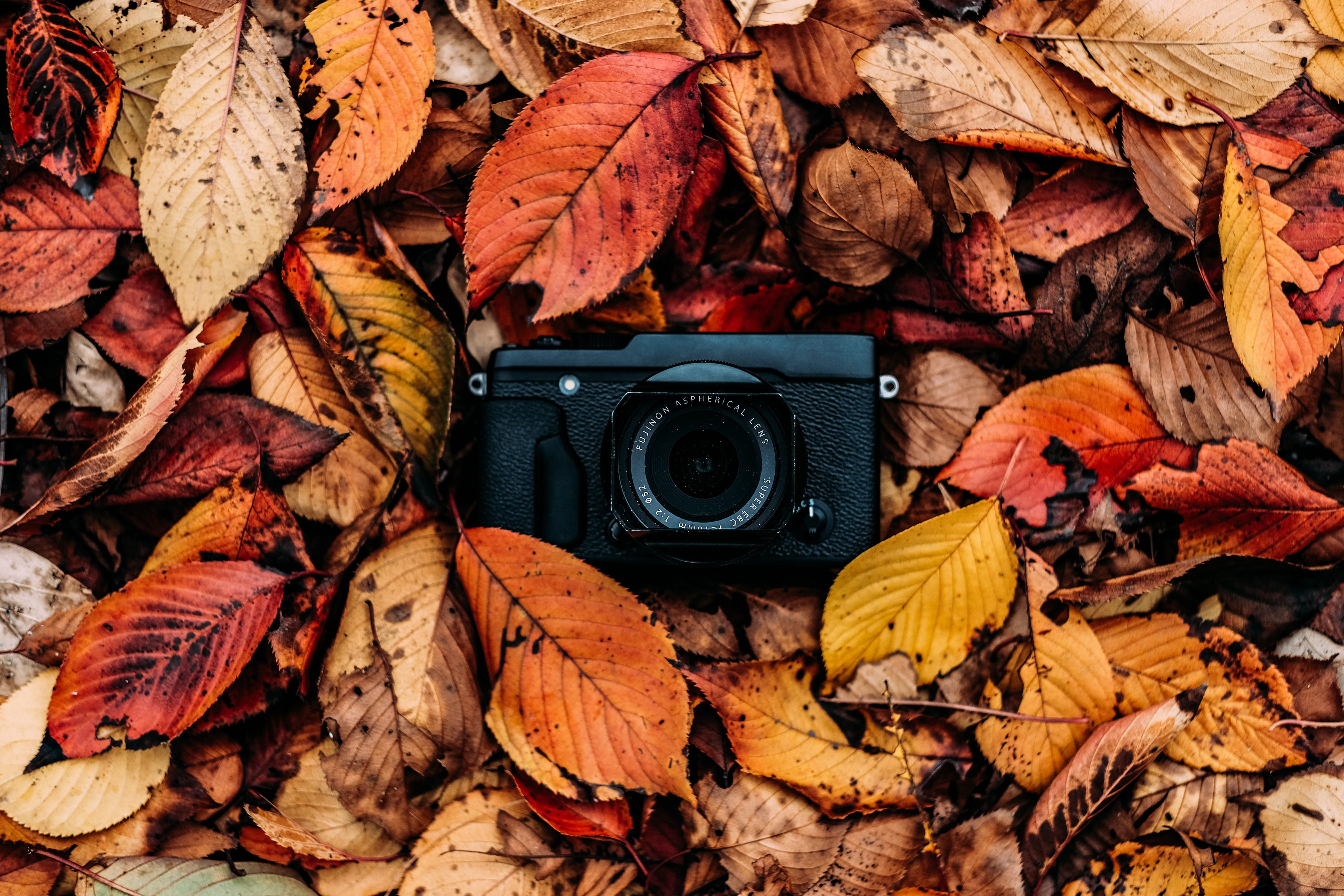 brown, maple leaf, fujifilm, fall, dried, red, camera - photographic equipment, backgrounds, leaf, plant part, outdoors, photographic equipment, HD Wallpaper