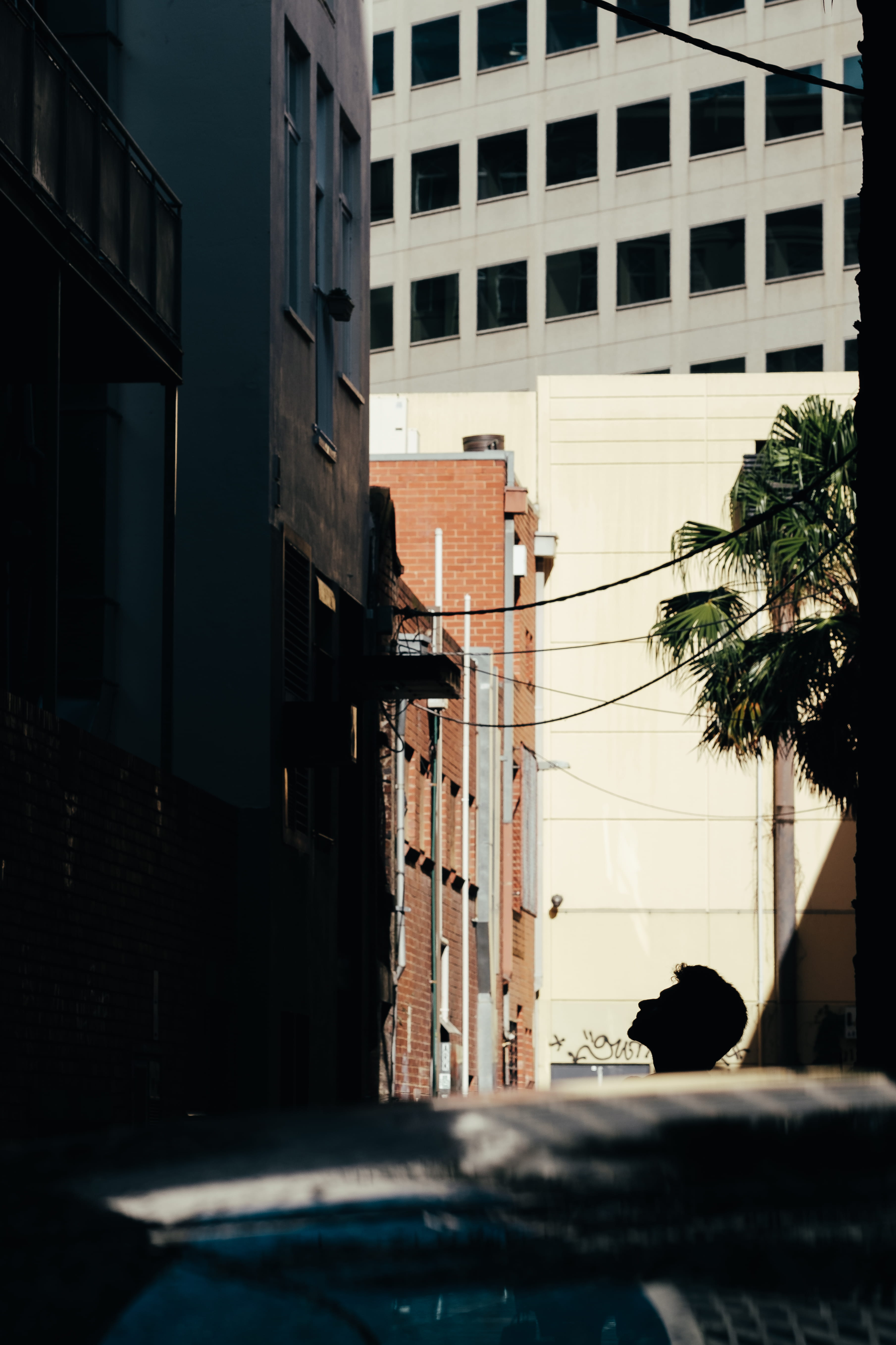 residential district, nature, palm, head, xt2, 90mm, man, fujifilm, looking, shadow, sunlight, compression, building exterior, melbourne, 5K, fujinon, Phone HD Wallpaper