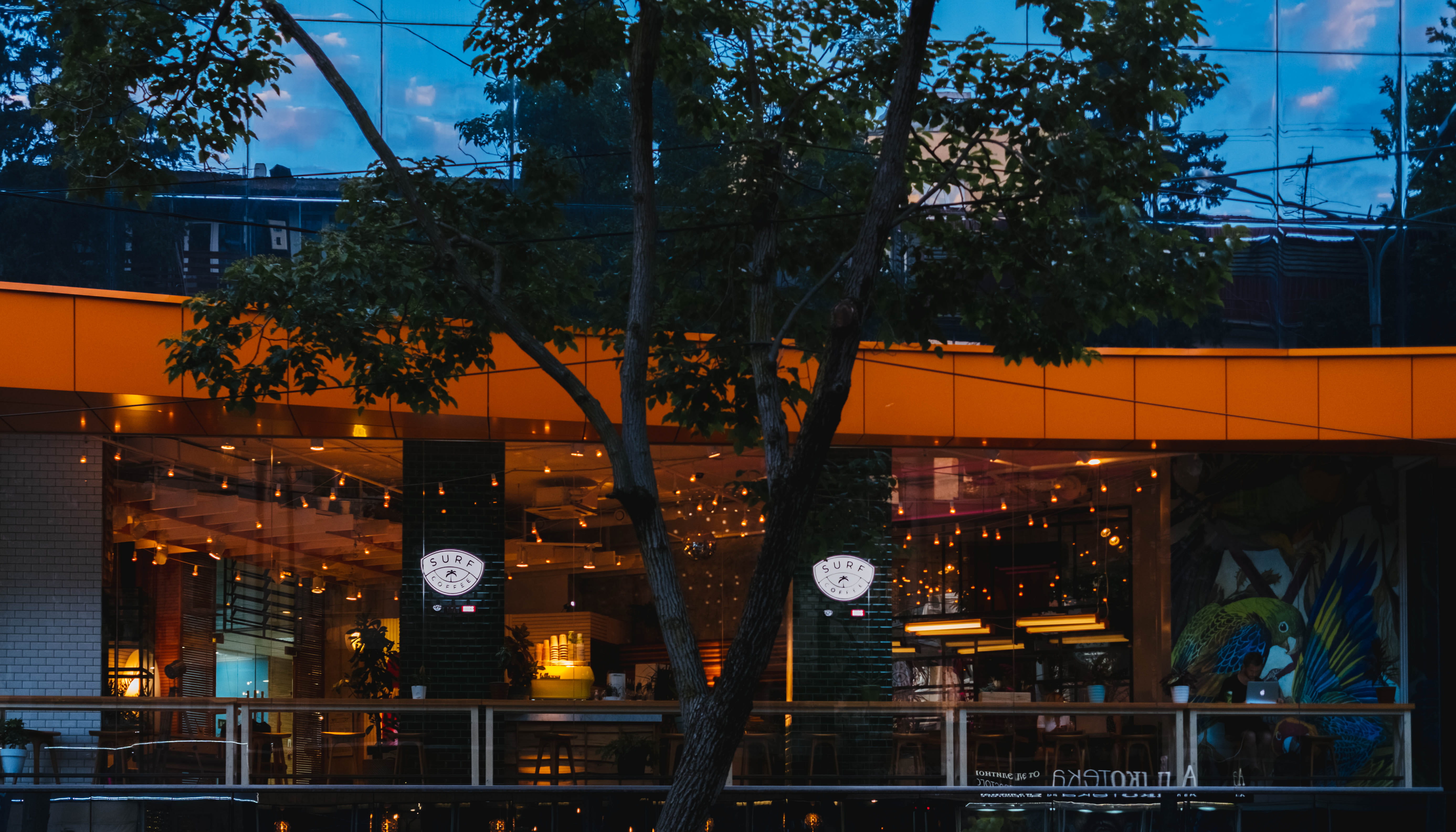 transportation, tree, beach, architecture, glass - material, fujifilmru, travel, xf27mm, street, vsco, sochi, 5K, lighting equipment, streetphotos, vscosochi, HD Wallpaper
