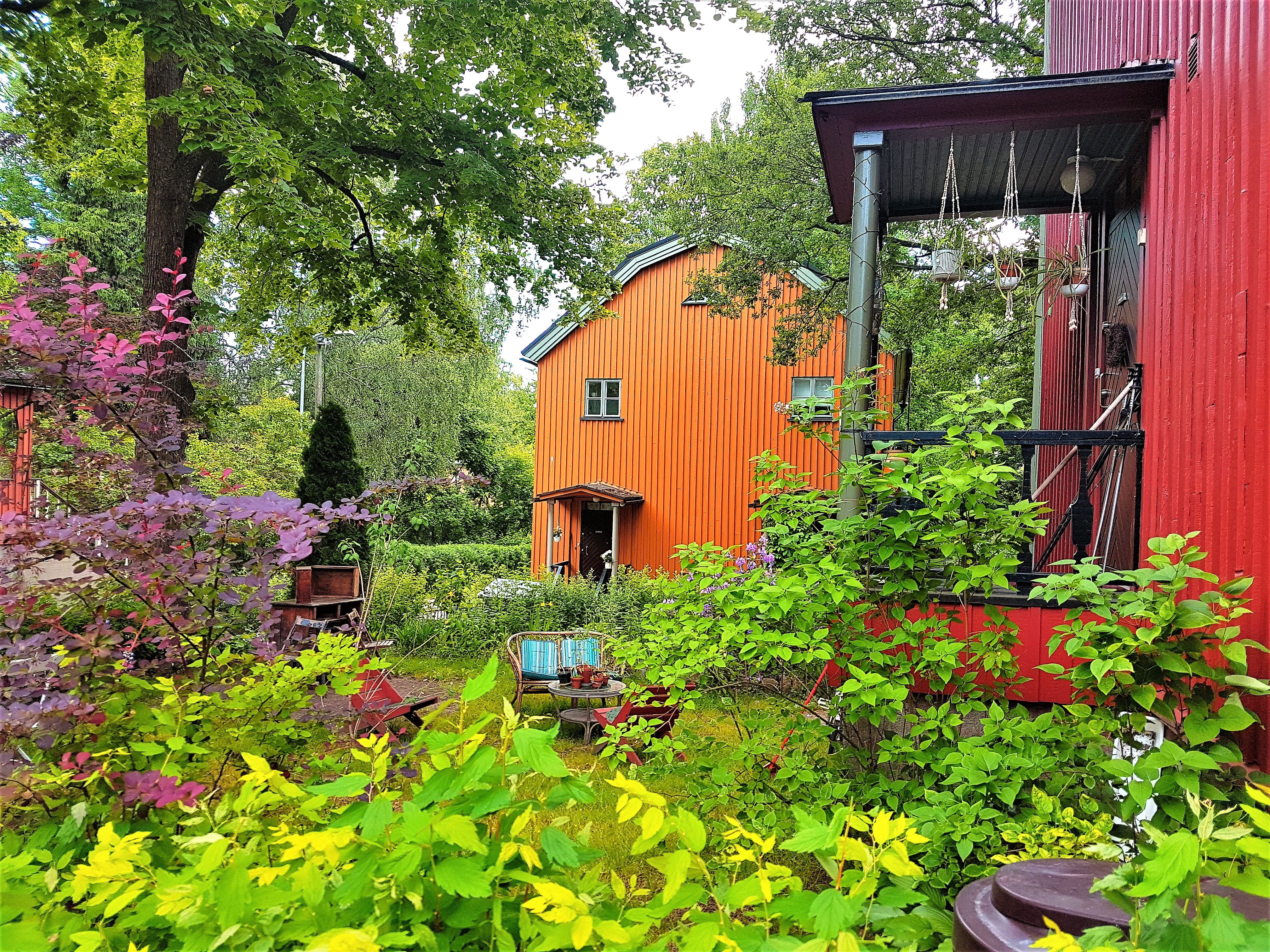 cabin, day, tree, plant part, building, flower, growth, architecture, helsinki, no people, built structure, door, 4K, nature, leaf, flowering plant, vacation, HD Wallpaper