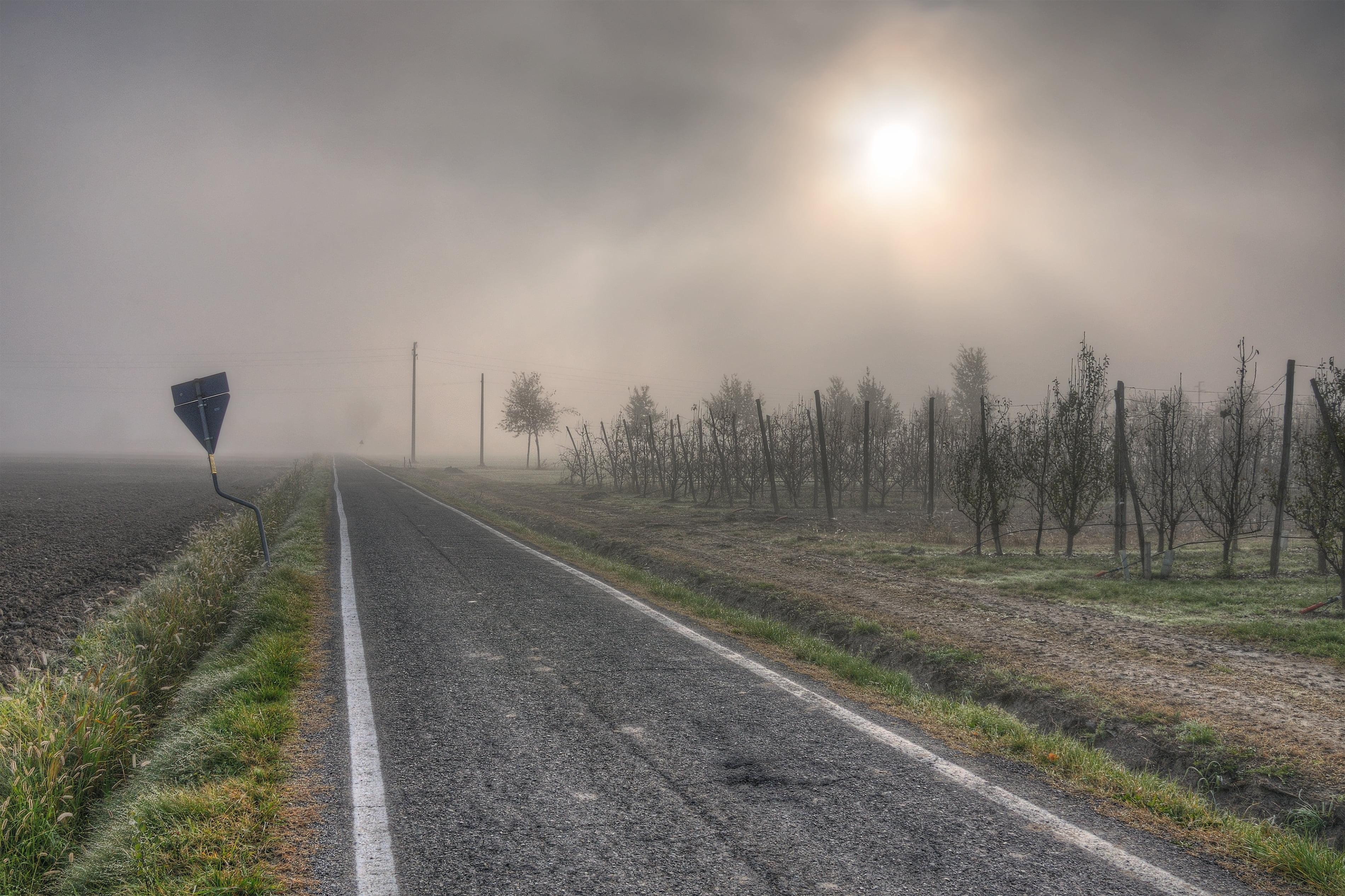 fog, cloud, stormy, 2K, grass, modena, sunrise, bassa, trees, nature, HDR, forest, alba, tree, Via, Bomporto, pathway, landscape, mist, Novembre, outdoors, HD Wallpaper