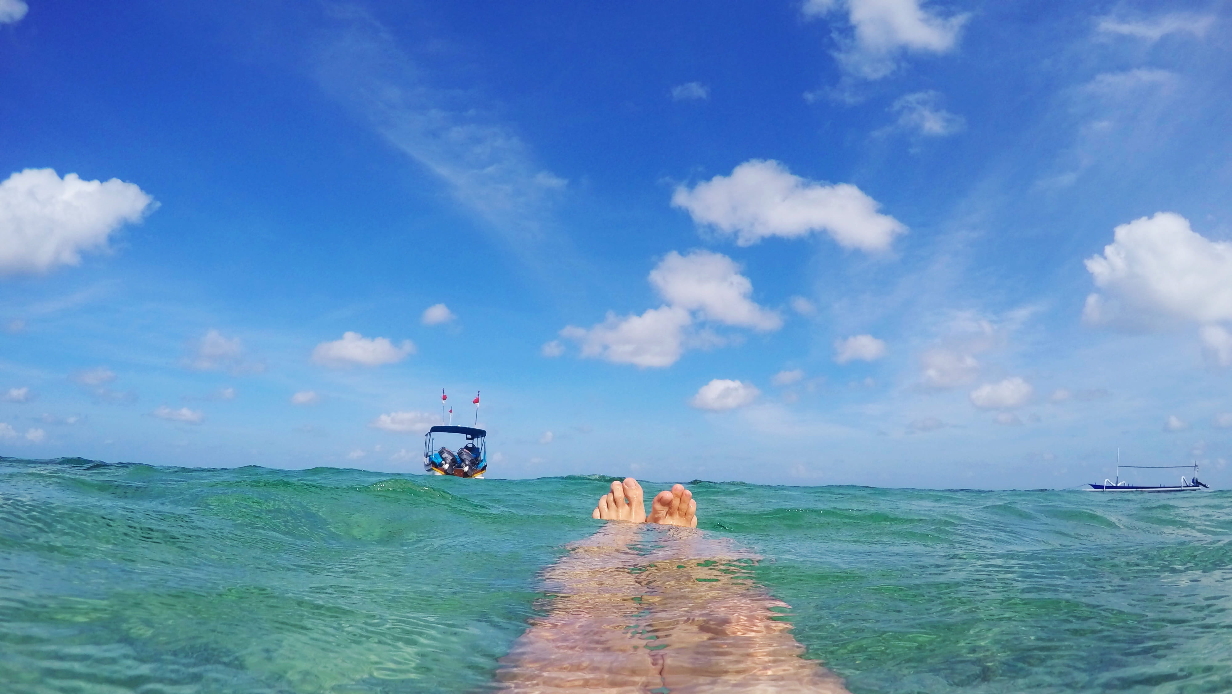 4K, horizon, birthday, mammal, day, transportation, holiday, sea, beauty in nature, leisure activity, vacations, beach, funny, breathe, joy, invitation, HD Wallpaper