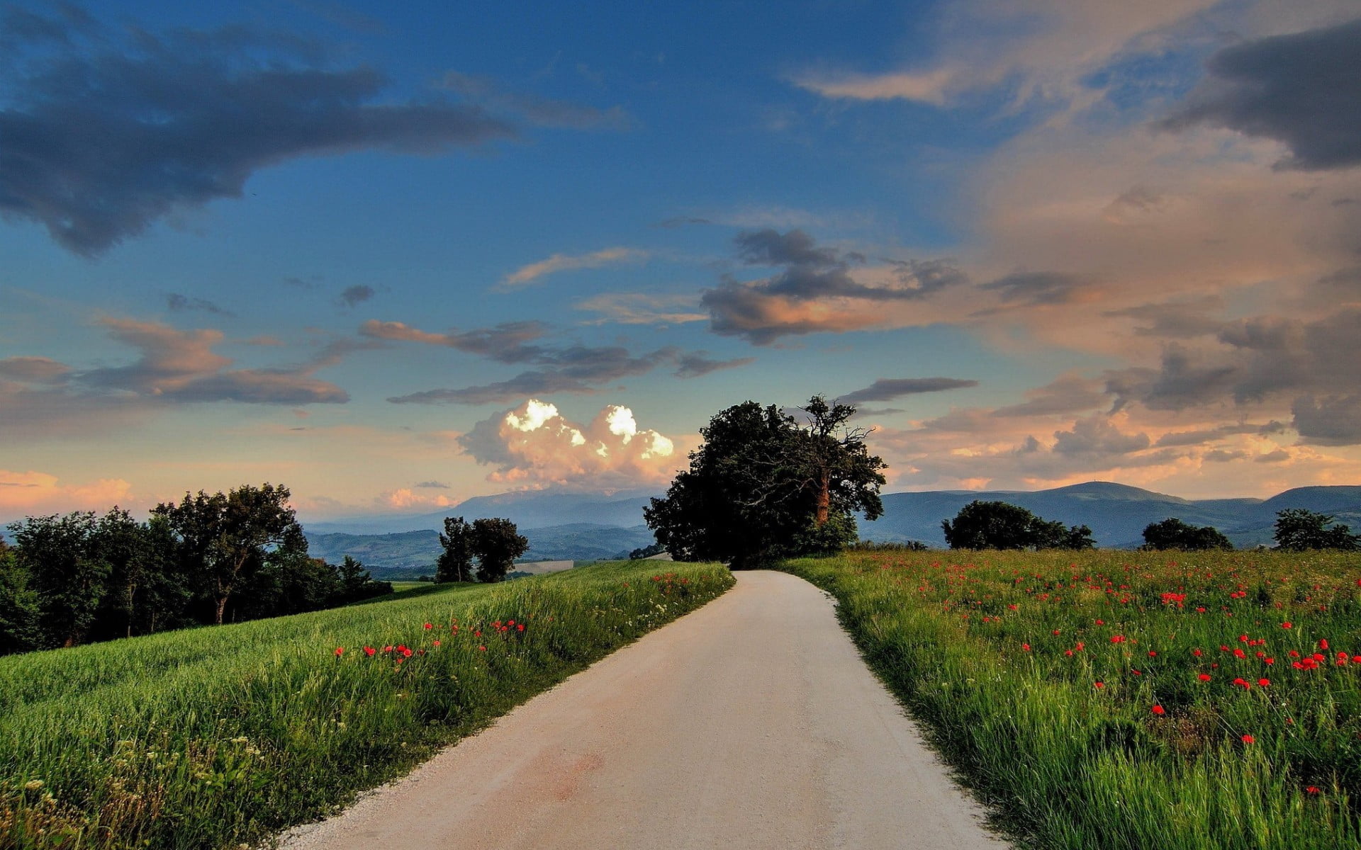 tranquil scene, sky, growth, tree, plant, sunset, land, field, diminishing perspective, outdoors, painting, nature, brown, tranquility, no people, environment, HD Wallpaper