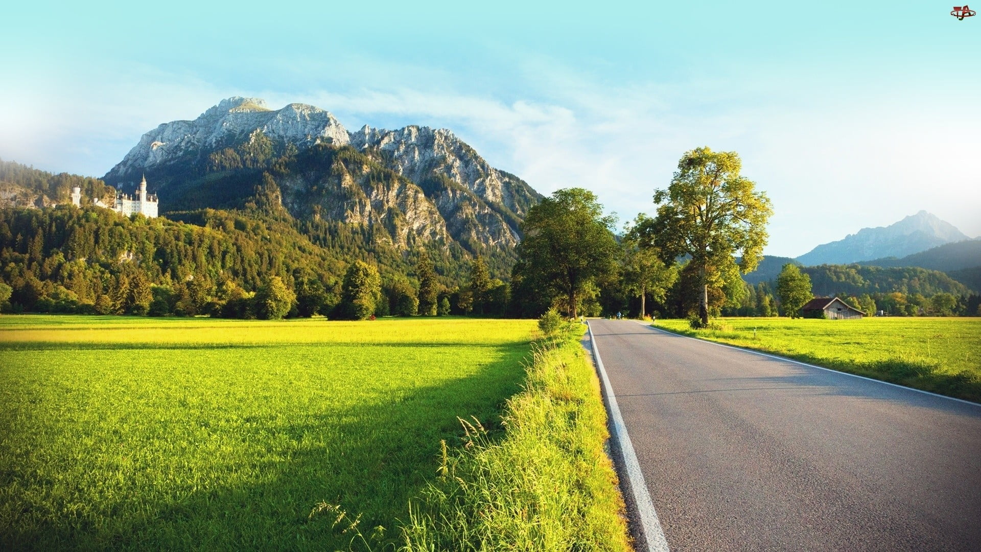 roadway, direction, the way forward, plant, tree, grass, beauty in nature, green color, transportation, tranquility, diminishing perspective, outdoors, HD Wallpaper