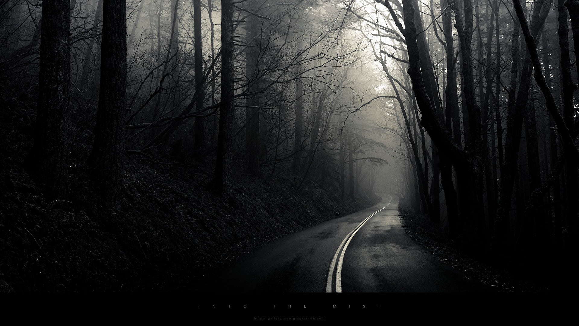 road marking, tranquil scene, no people, plant, monochrome, diminishing perspective, symbol, 1080P, fog, outdoors, direction, land, non-urban scene, bare tree, HD Wallpaper