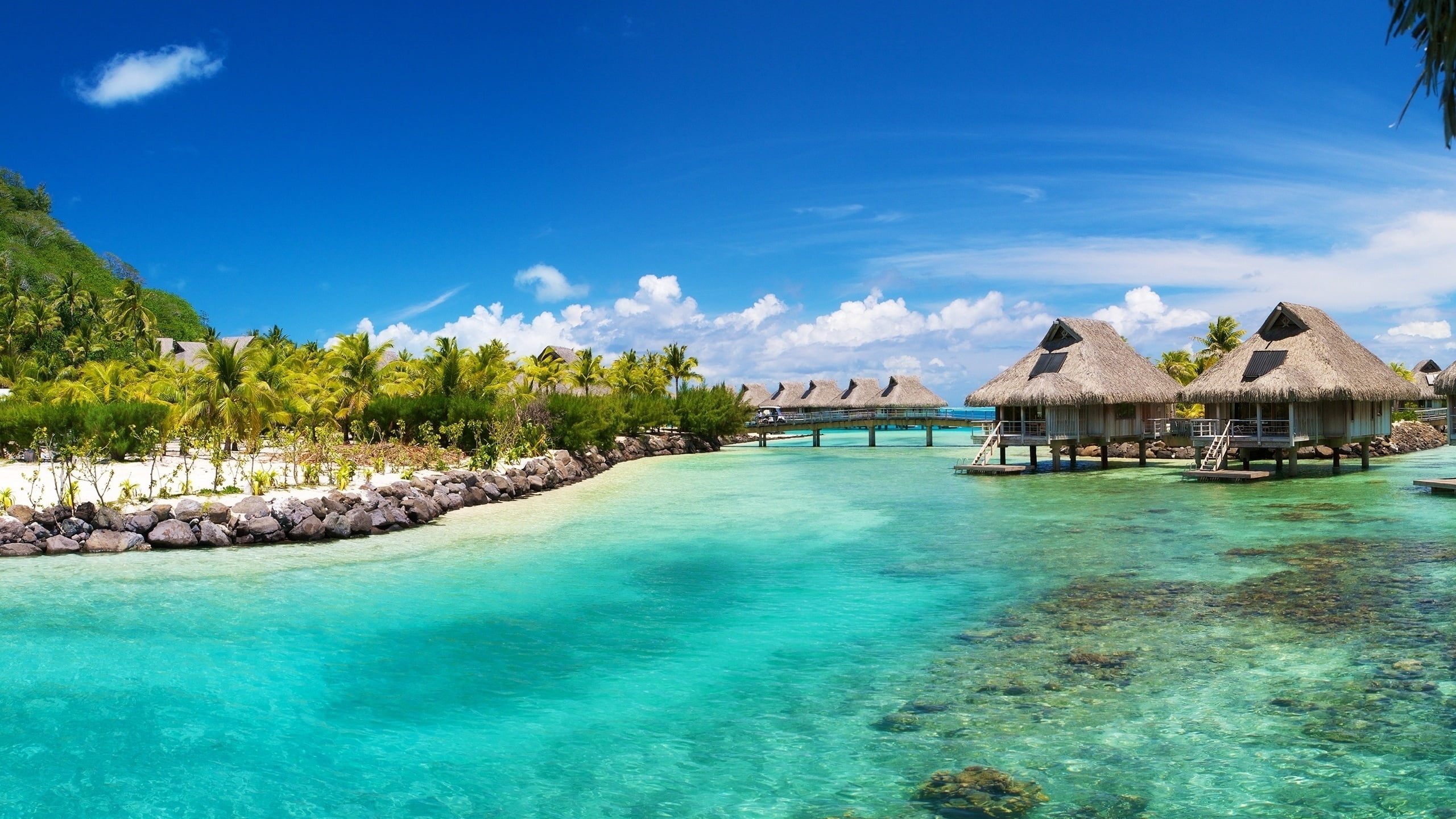 2K, outdoors, body, maldives, landscape, thatched Roof, bay Of Water, coastline, exoticism, sand, turquoise Colored, travel Destinations, tropical Climate, HD Wallpaper