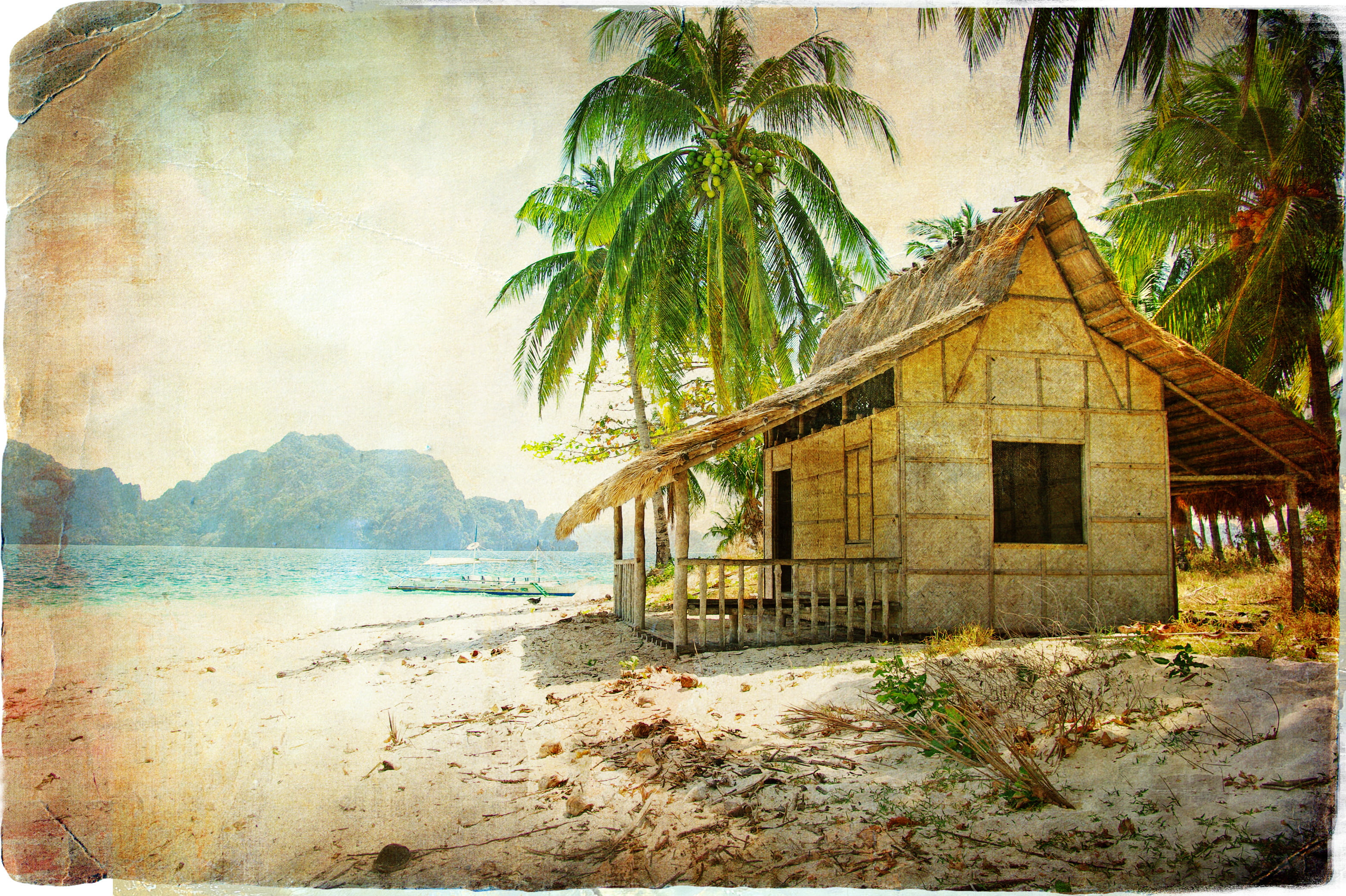 caribbean Sea, coastline, travel, idyllic, coconut, old, tropical Climate, travel Destinations, water, nature, coconut Palm Tree, sunlight, forest, hut, HD Wallpaper