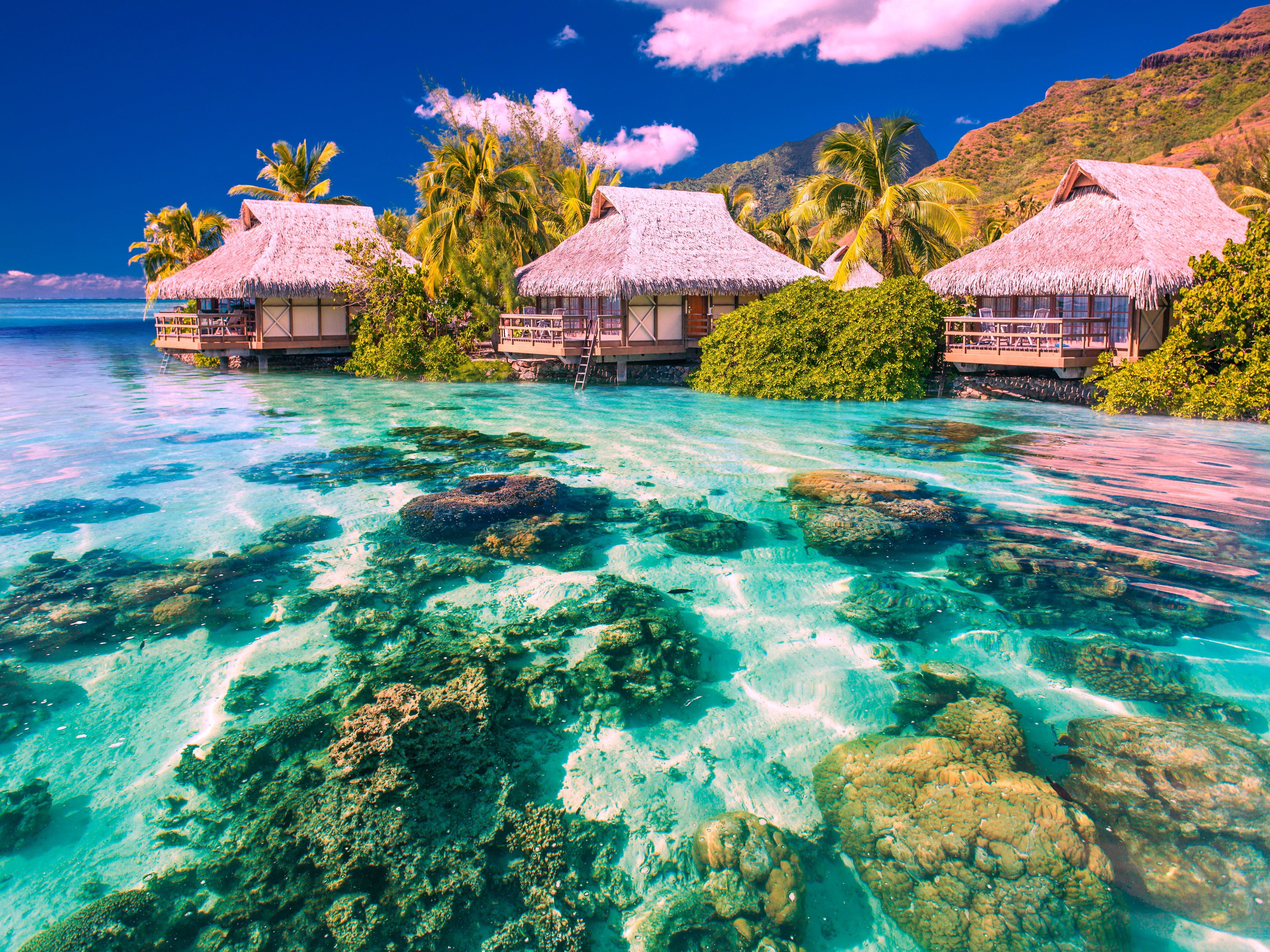 summer, built structure, palm Tree, cultures, relaxation, no People, coastline, vacations, landscape, thatched Roof, tropics, the sky, palm trees, lagoon, HD Wallpaper