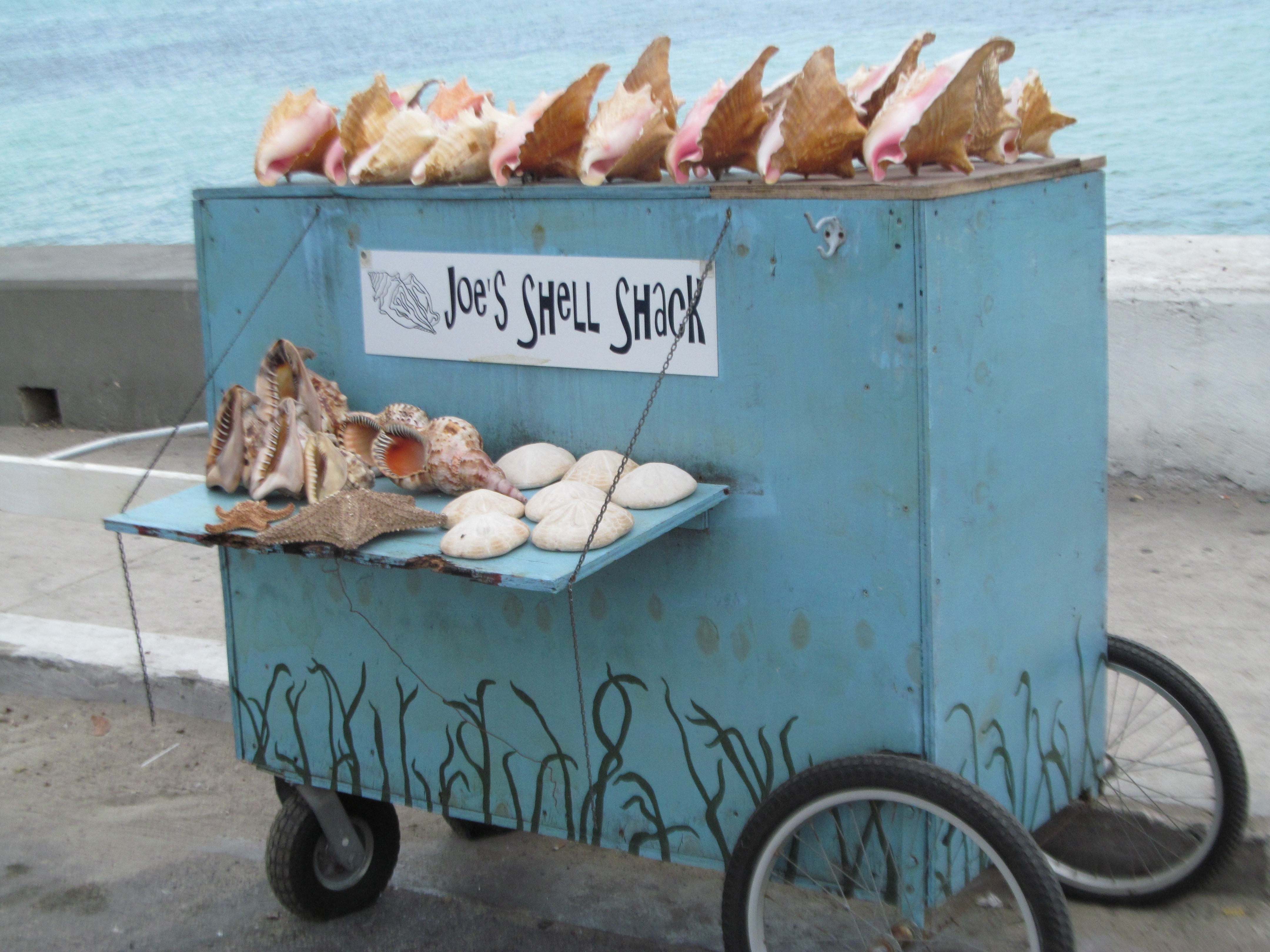 water, for sale, island, caribbean, transportation, container, tourism, craft, shells, sell, day, 4K, goods, travel, market, healthy eating, text, destination, HD Wallpaper