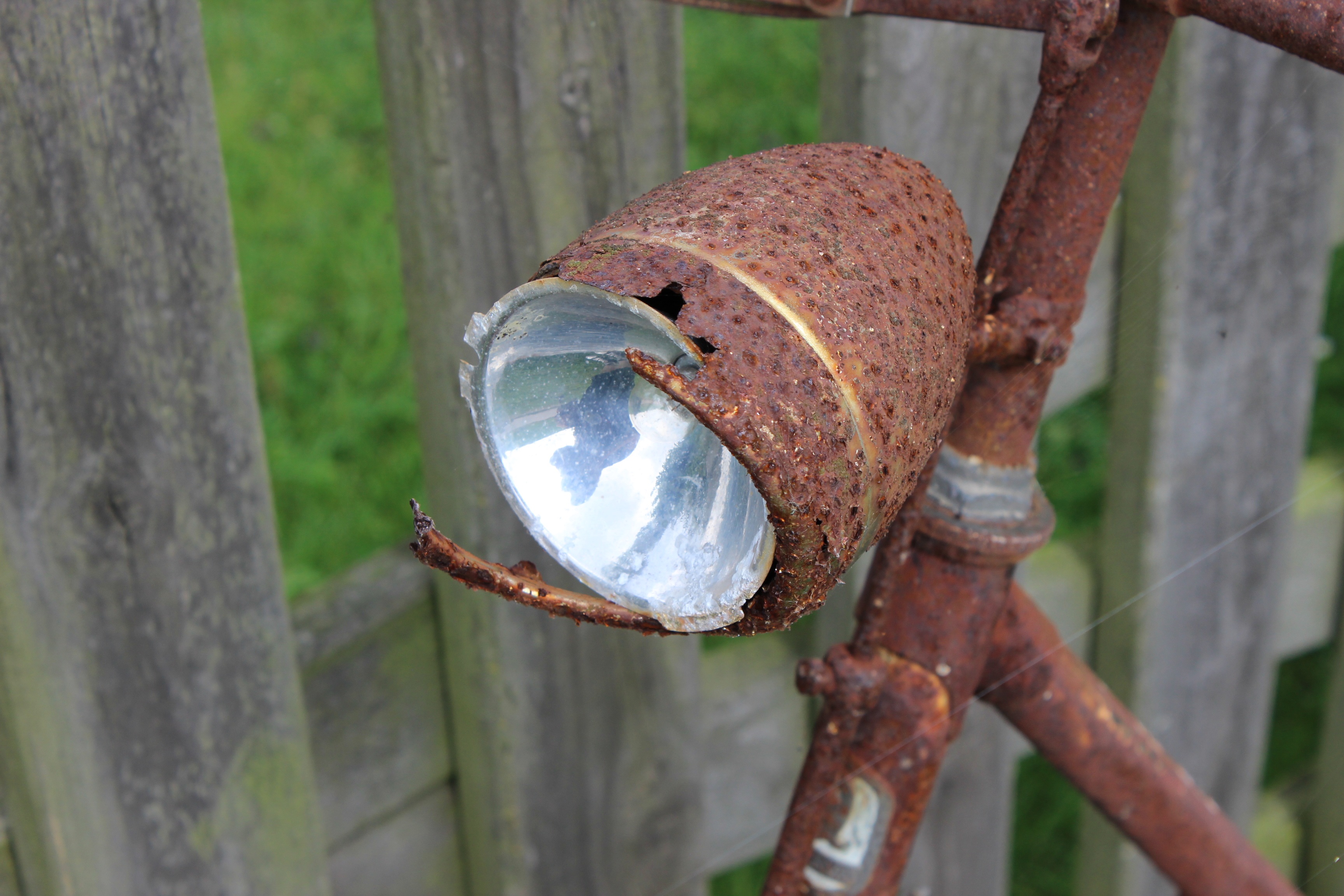 bike, invertebrate, metal, selective focus, animal themes, animal, 2K, weathered, light bulb, deterioration, no people, bicycle lamp, handlebars, lamp, HD Wallpaper