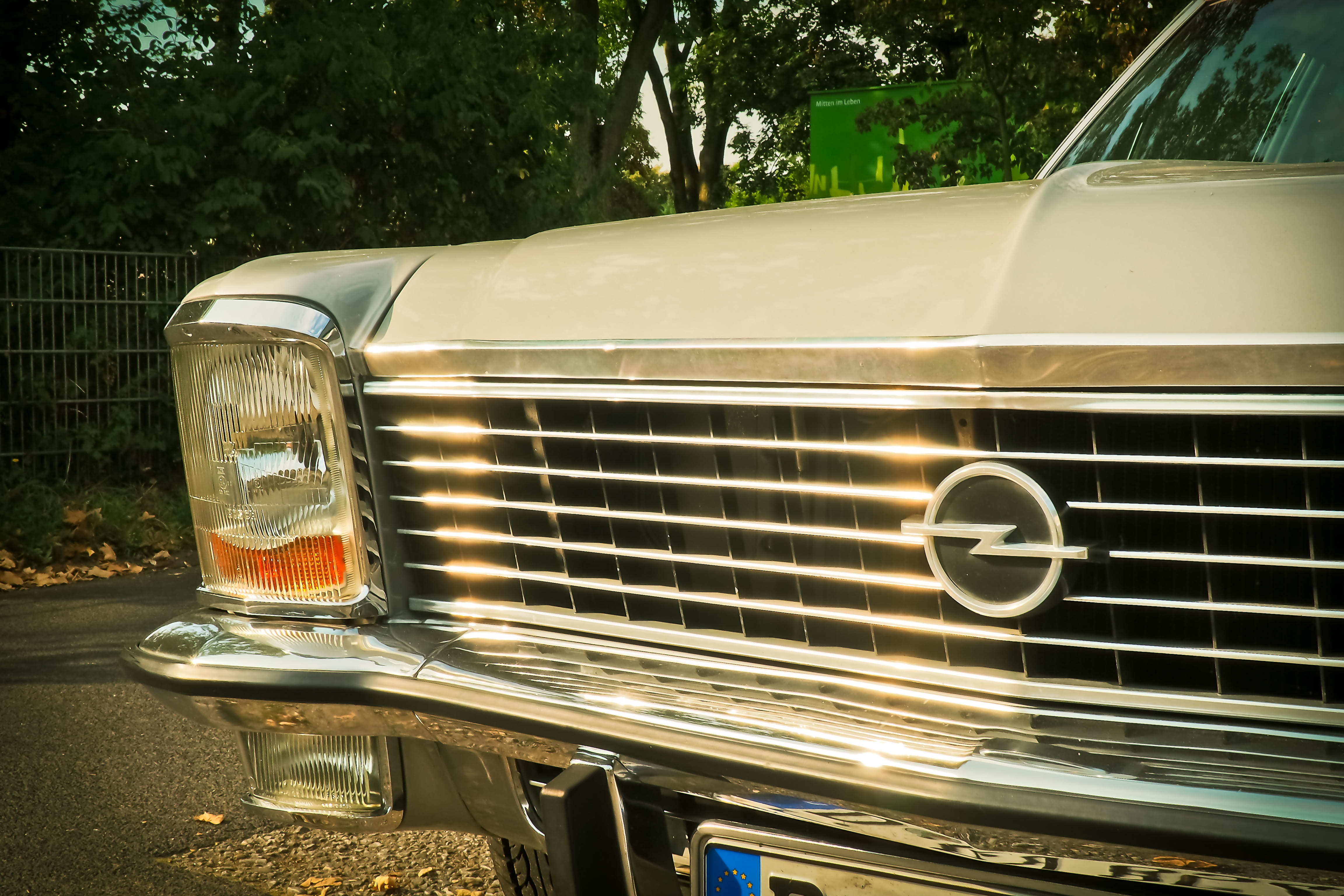 nature, stationary, passengers cars, tree, opel diplomat, glass - material, old, old-fashioned, vintage, grille, travel, transportation, metallic, mode of Transport, HD Wallpaper
