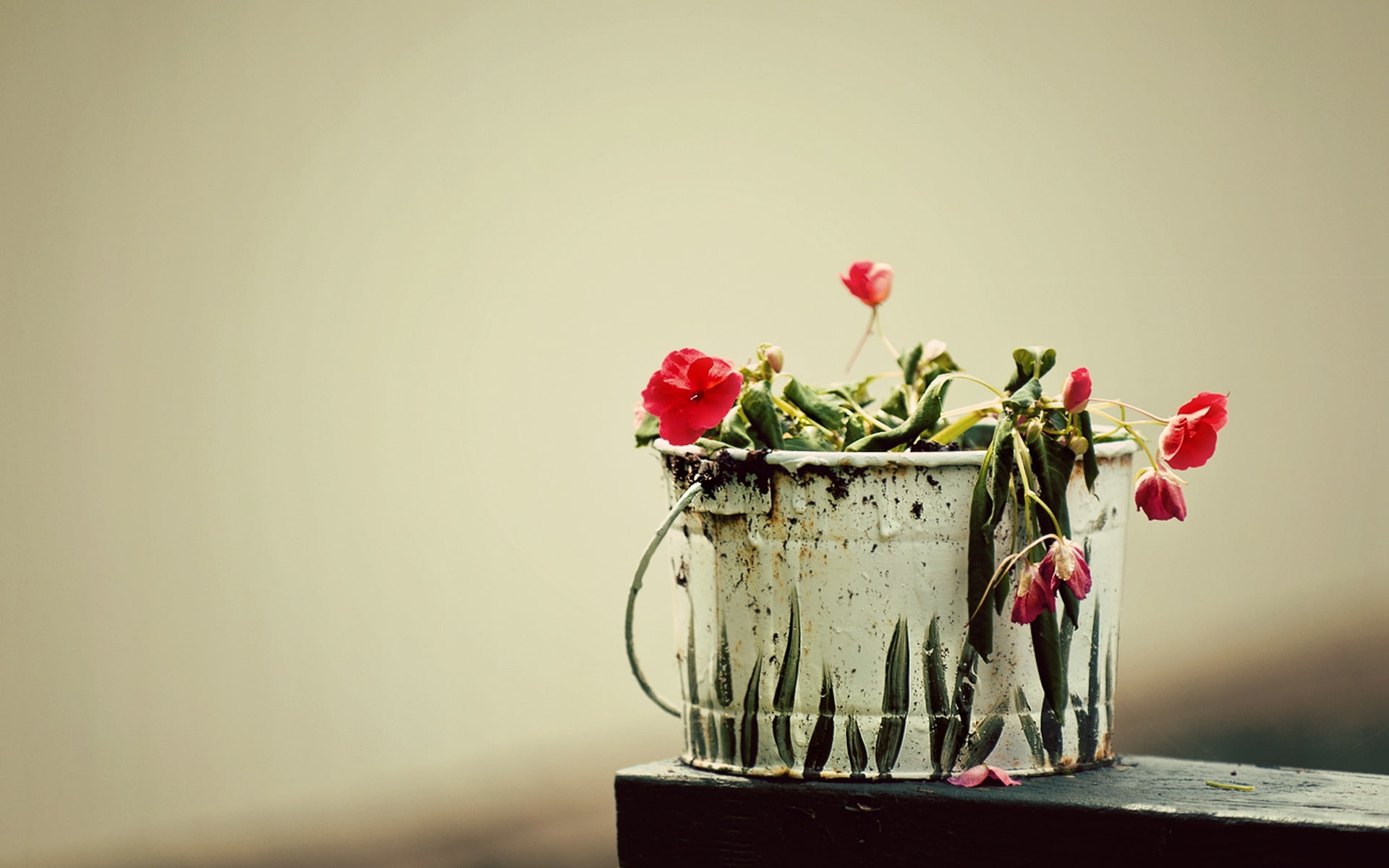 figure, flowers, creative, 1080P, capacity, macro, grass, bucket, plant, HD Wallpaper