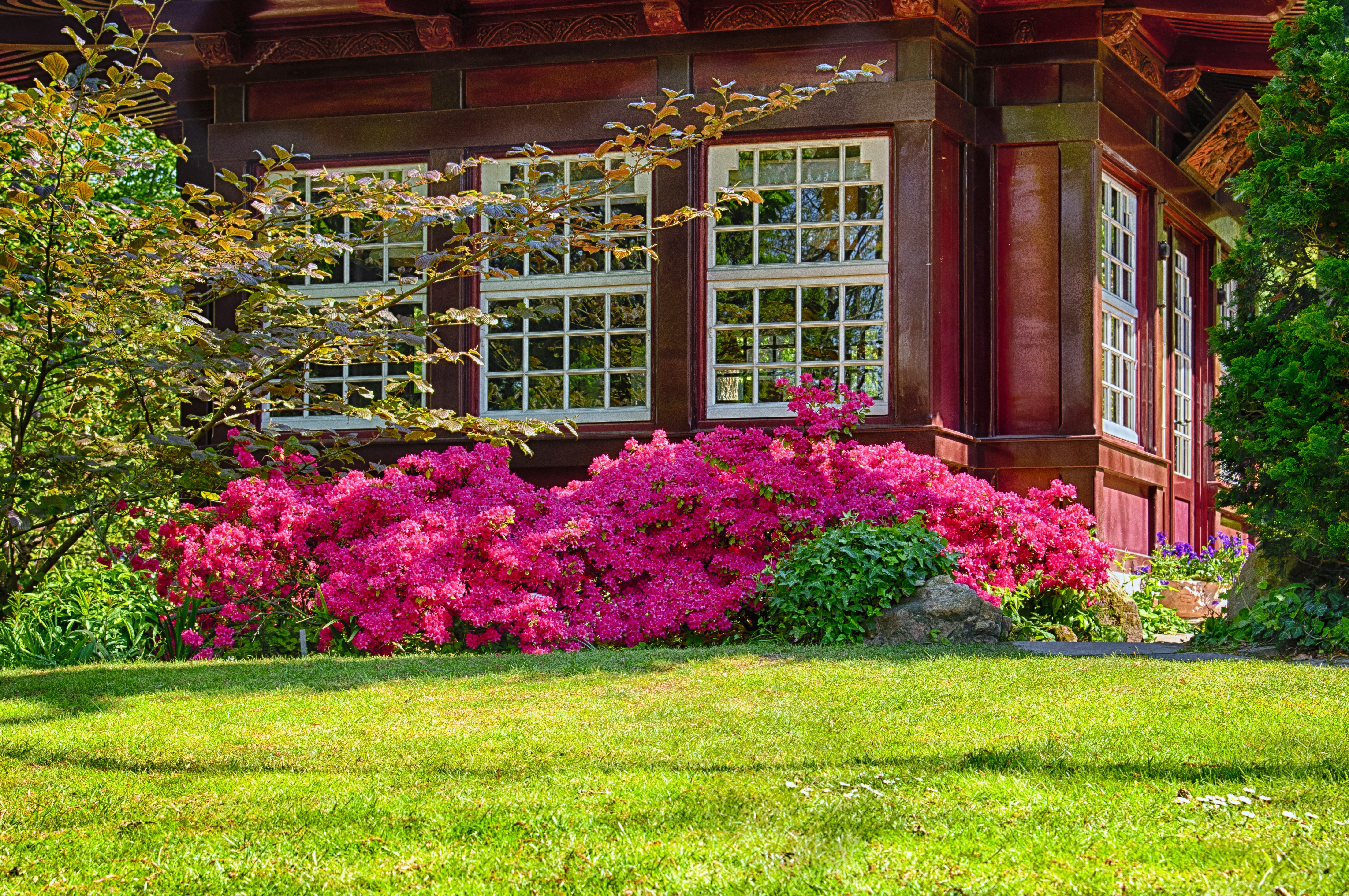garden, architecture, art, green color, flowers, idyll, grass, maintained, plant, building, bloom, nature, ornate, horticulture, outdoors, splendor, pink, HD Wallpaper