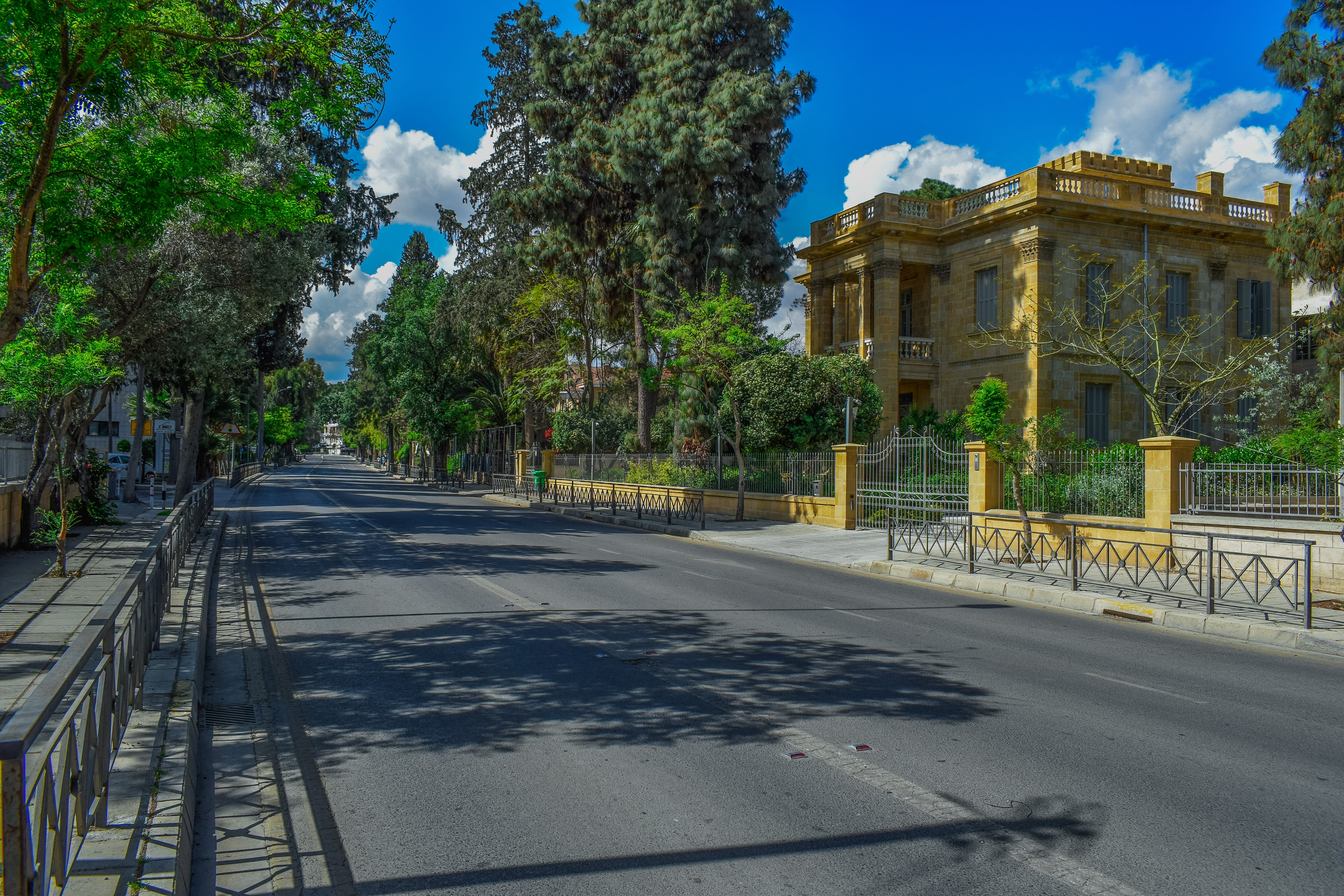 5K, nicosia, travel, travel destinations, nature, plant, architectural column, built structure, direction, building exterior, the way forward, street, HD Wallpaper