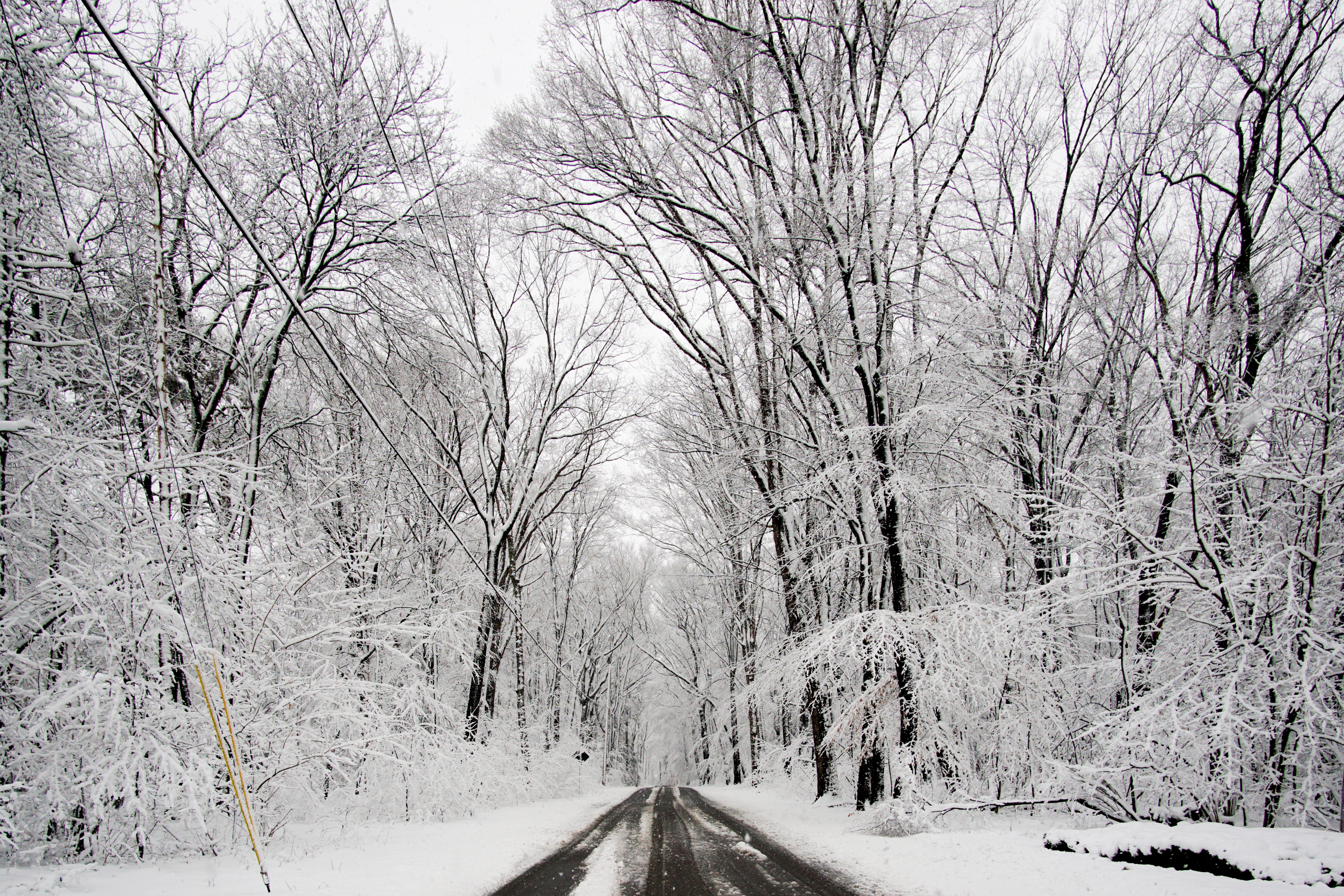 icicle, diminishing perspective, scenery, no people, frost, asphalt, outdoors, tree, storm, snow, transportation, postal office, landscape, winter, tranquility, HD Wallpaper