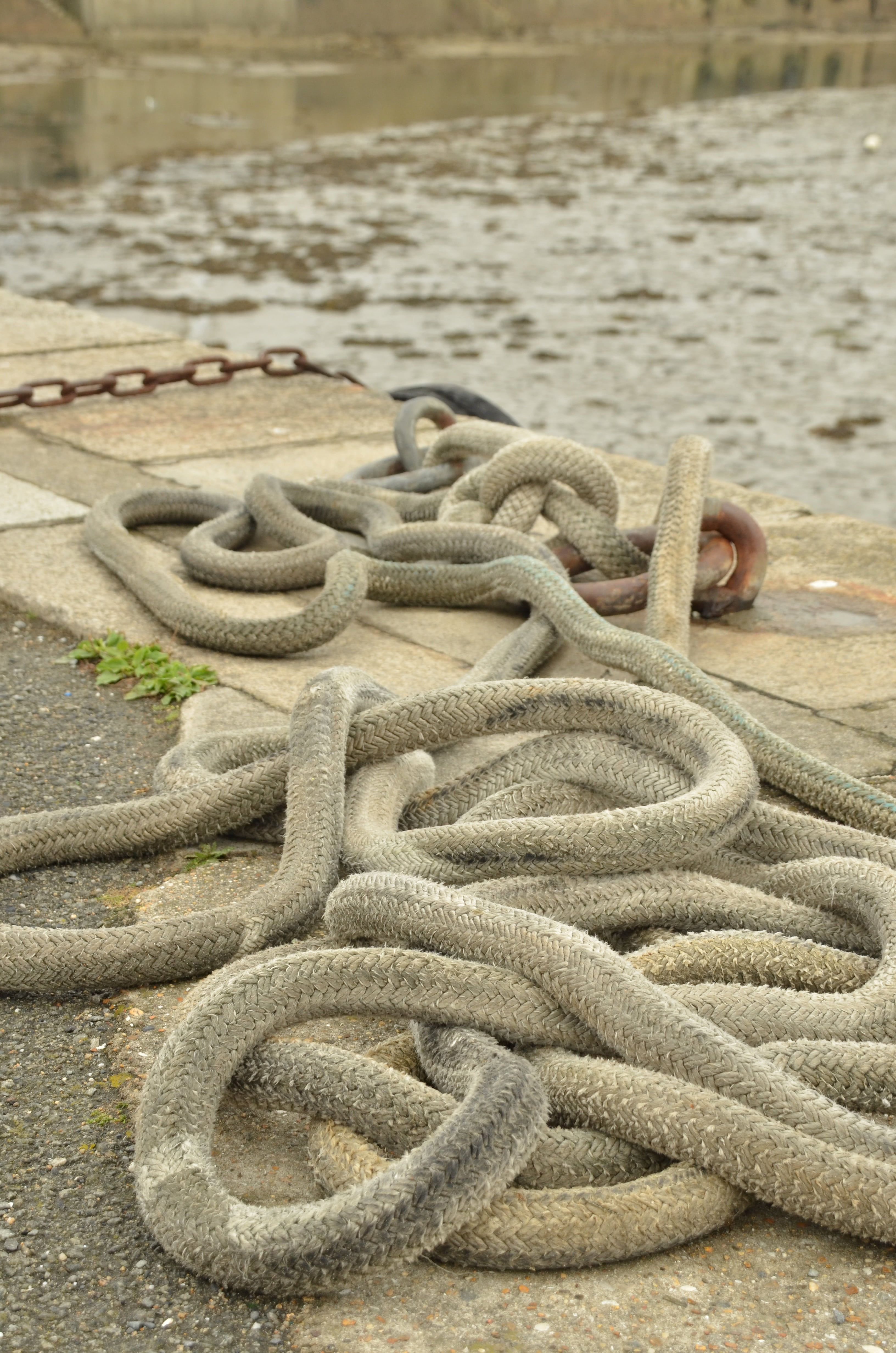 fishing industry, complexity, sea, 4K, no people, strength, land, close-up, ship, outdoors, tros, pattern, rope, high angle view, animals in the wild, Phone HD Wallpaper