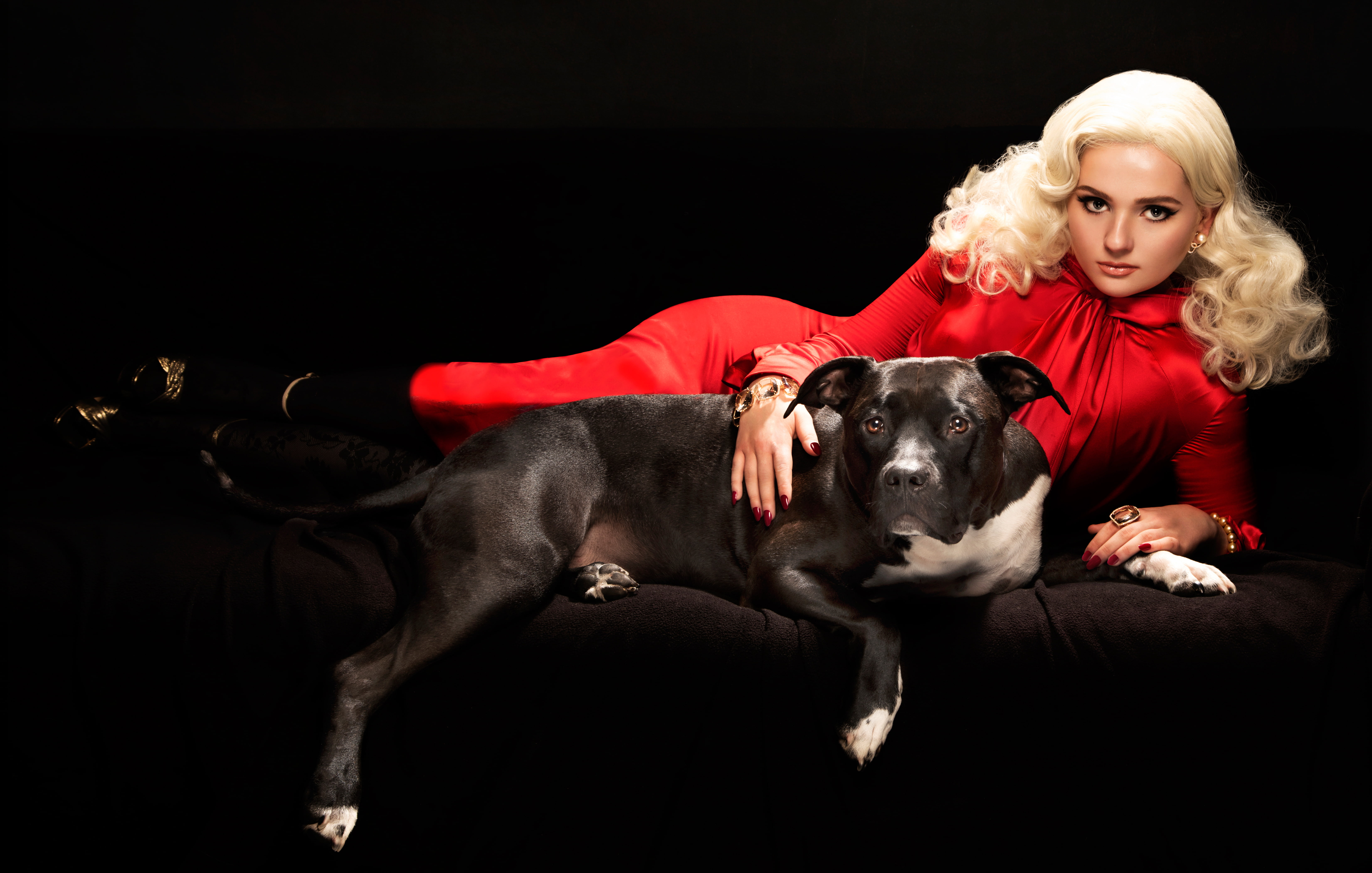 black background, photo, twilight, Prestige, makeup, dog, lies, dress, Abigail Breslin, blonde, Mike Ruiz, 5K, 2016, actress, in red, hairstyle, journal, HD Wallpaper