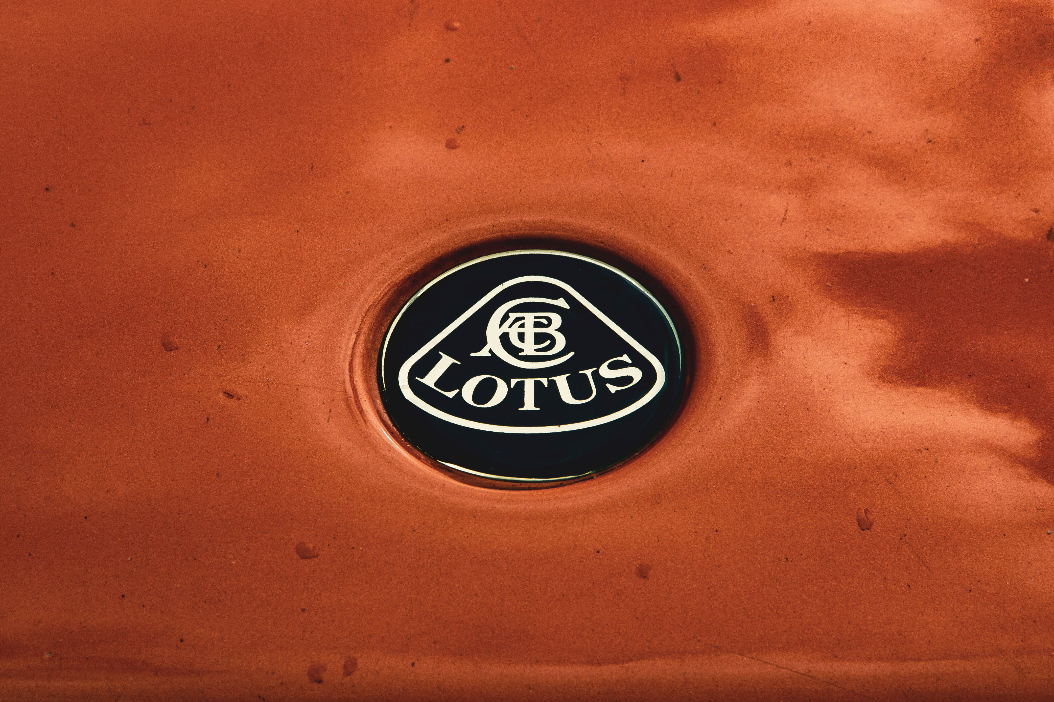 no people, logo, sign, day, badge, textured, rally, shape, orange, geometric shape, close-up, directly above, lotus, animal, gathering, 4K, detail, communication, HD Wallpaper