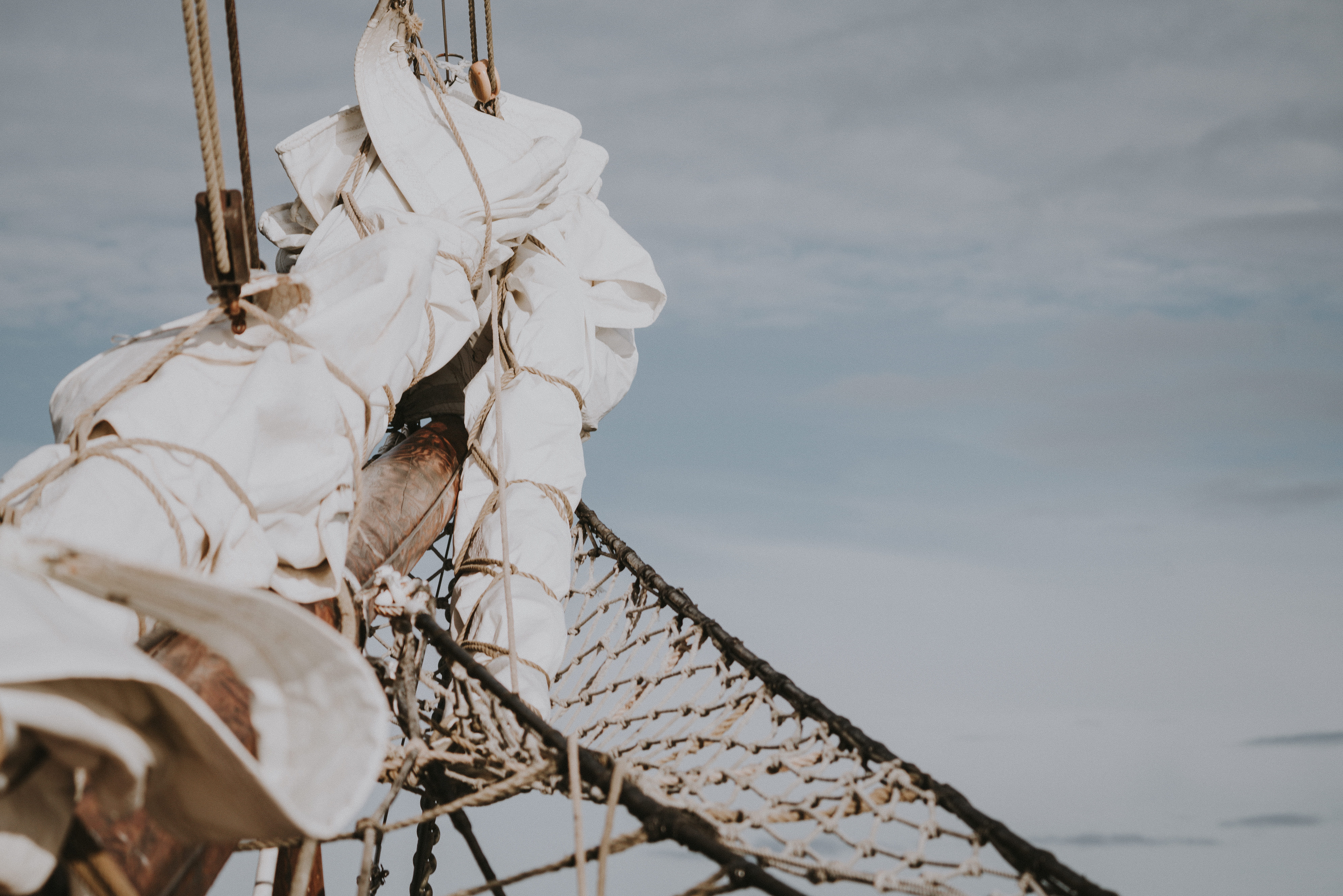 outdoors, rope, pigeon, 8K, roof, sunlight, ardeidae, hanging, wire, hubcap, animal, hammock, barbed wire, dove, water, plastic, wood - material, crow, HD Wallpaper