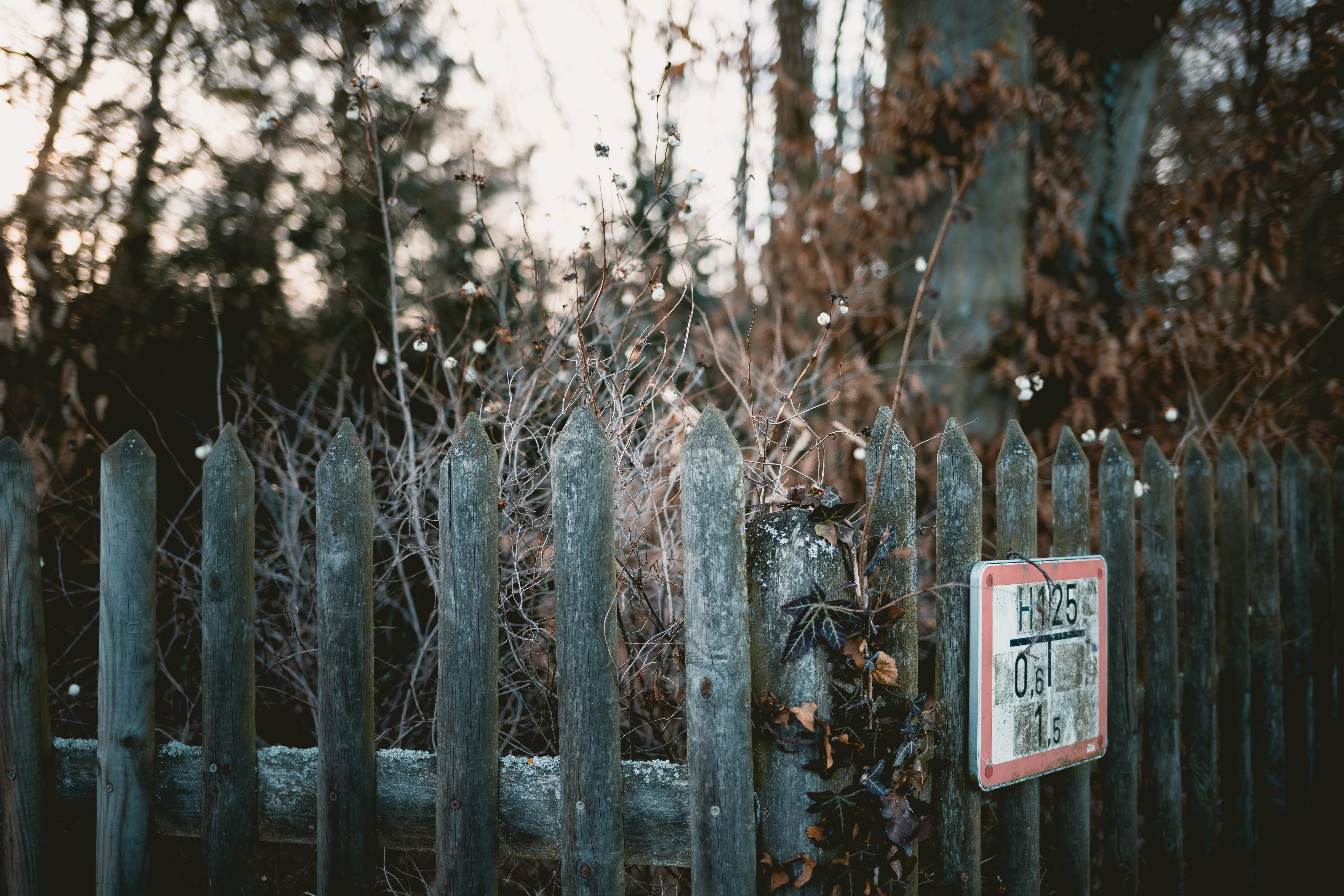 text, railing, hanging, nature, bird, possum, message, non-western script, barrier, focus on foreground, brown, sign, day, no people, lion, picket, hubcap, HD Wallpaper