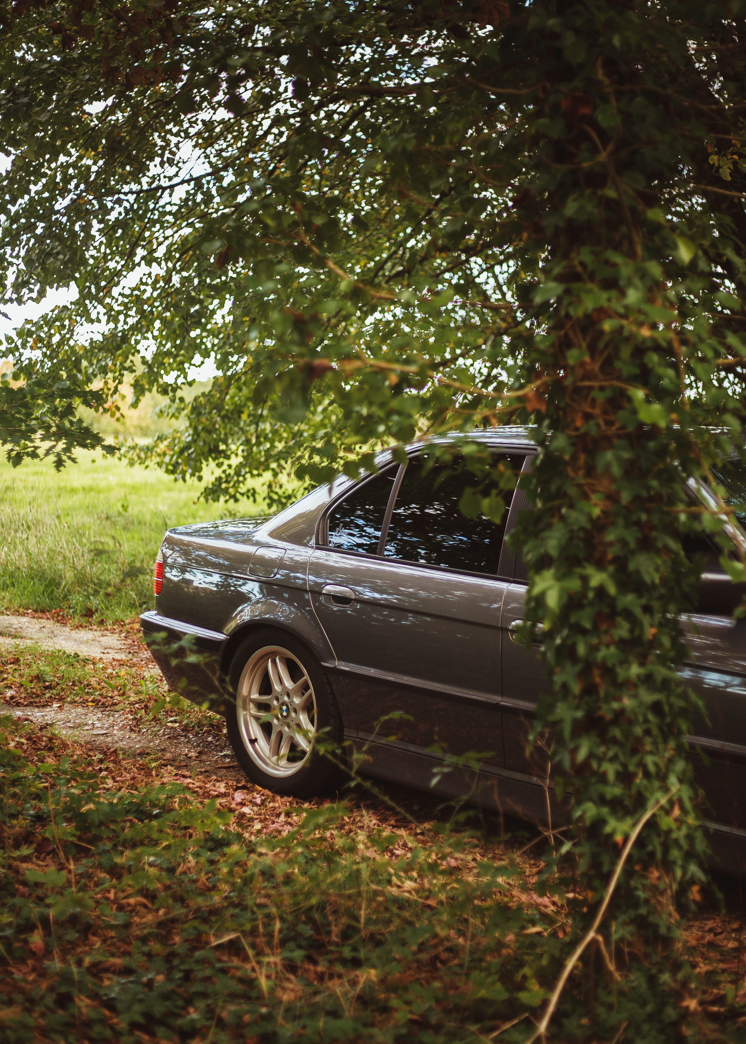 coupe, transportation, land, sports car, motor vehicle, growth, no people, alloy wheel, plant, vegetation, deterioration, car wheel, behind, parked, bush, Phone HD Wallpaper