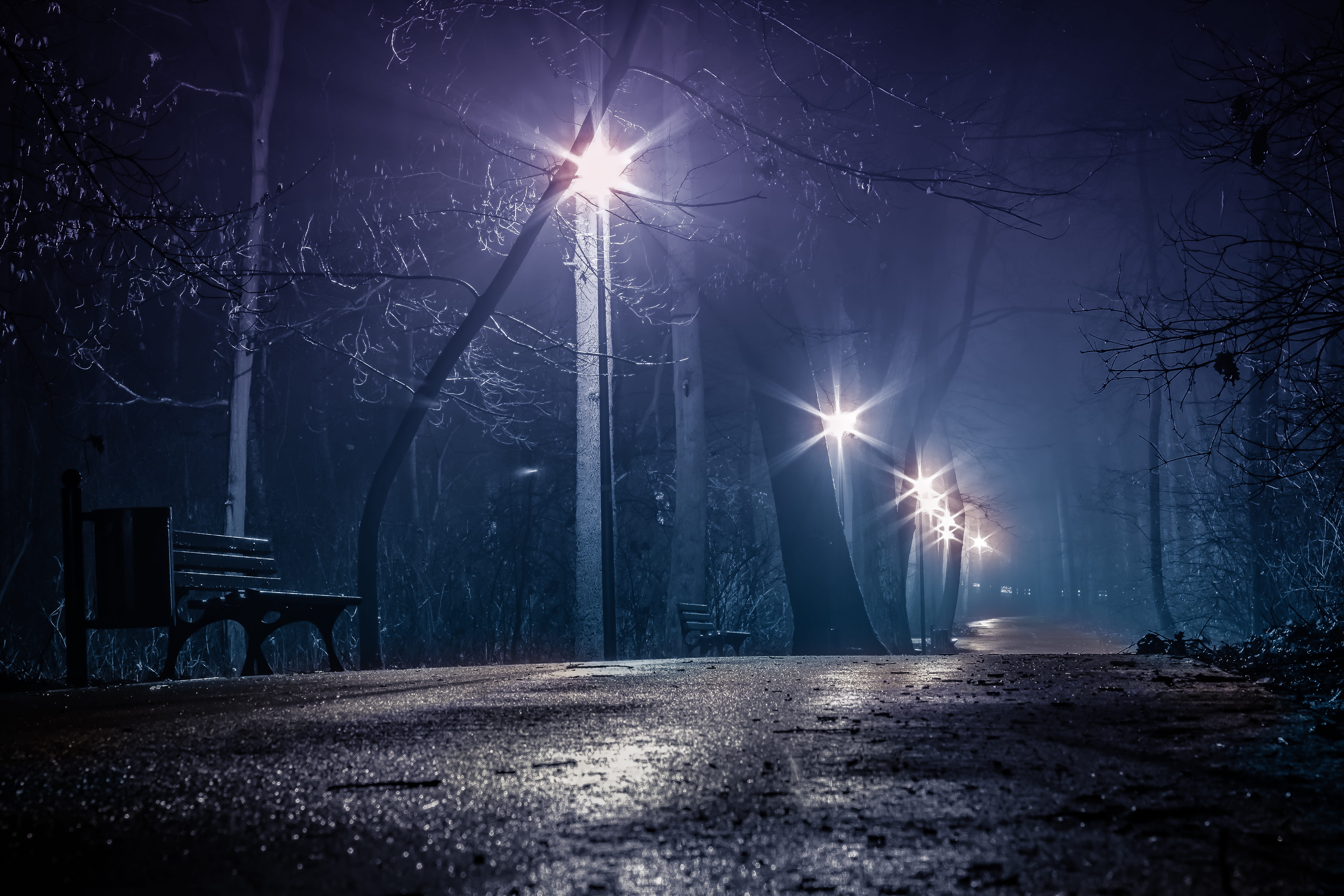 nighttime, outdoors, tree, the island bolko, 5K, the fog, street light, rain, city, illuminated, amazing, lamps, opole, lighting equipment, snow, plant, HD Wallpaper