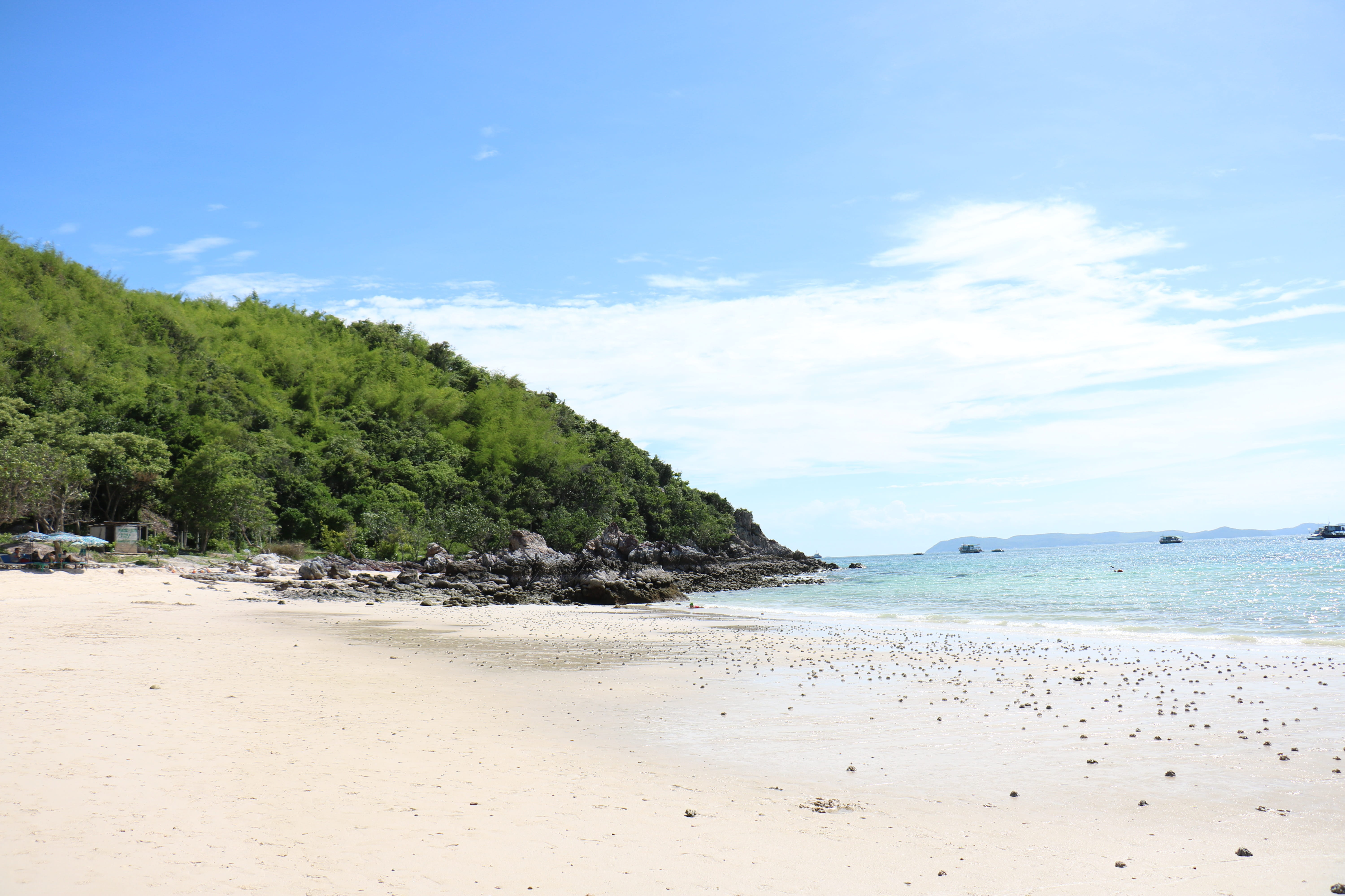 no people, Thailand, idyllic, nature, Beach, scenics, land, outdoors, scenics - nature, sky, non-urban scene, 5K, tree, tranquility, water, sea, day, plant, HD Wallpaper