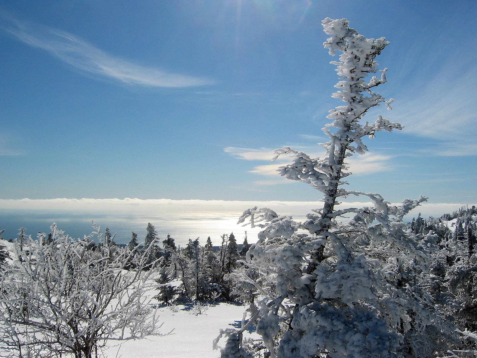 day, white, season, countryside, ocean, outside, ice, nature, cloud - sky, cold temperature, Maine, beauty In Nature, plant, tree, maine, color Image, Landscape, HD Wallpaper