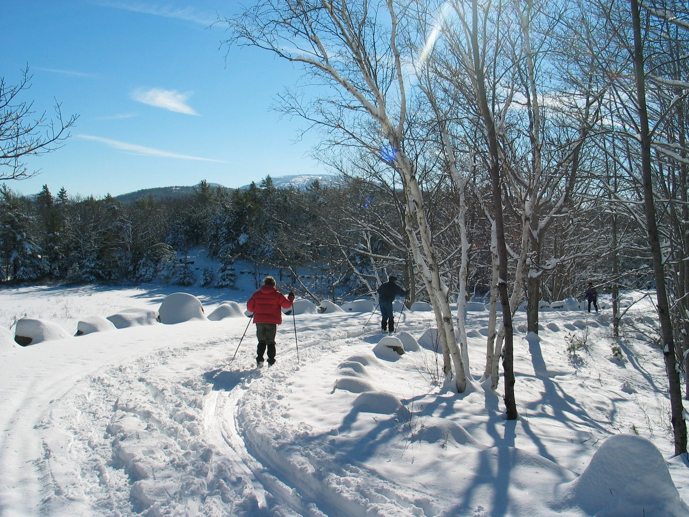 forest, tree, skiers, outdoors, snowcapped mountain, men, path, winter, Maine, clouds, people, woods, skiing, women, bare tree, person, snow, cross country, HD Wallpaper