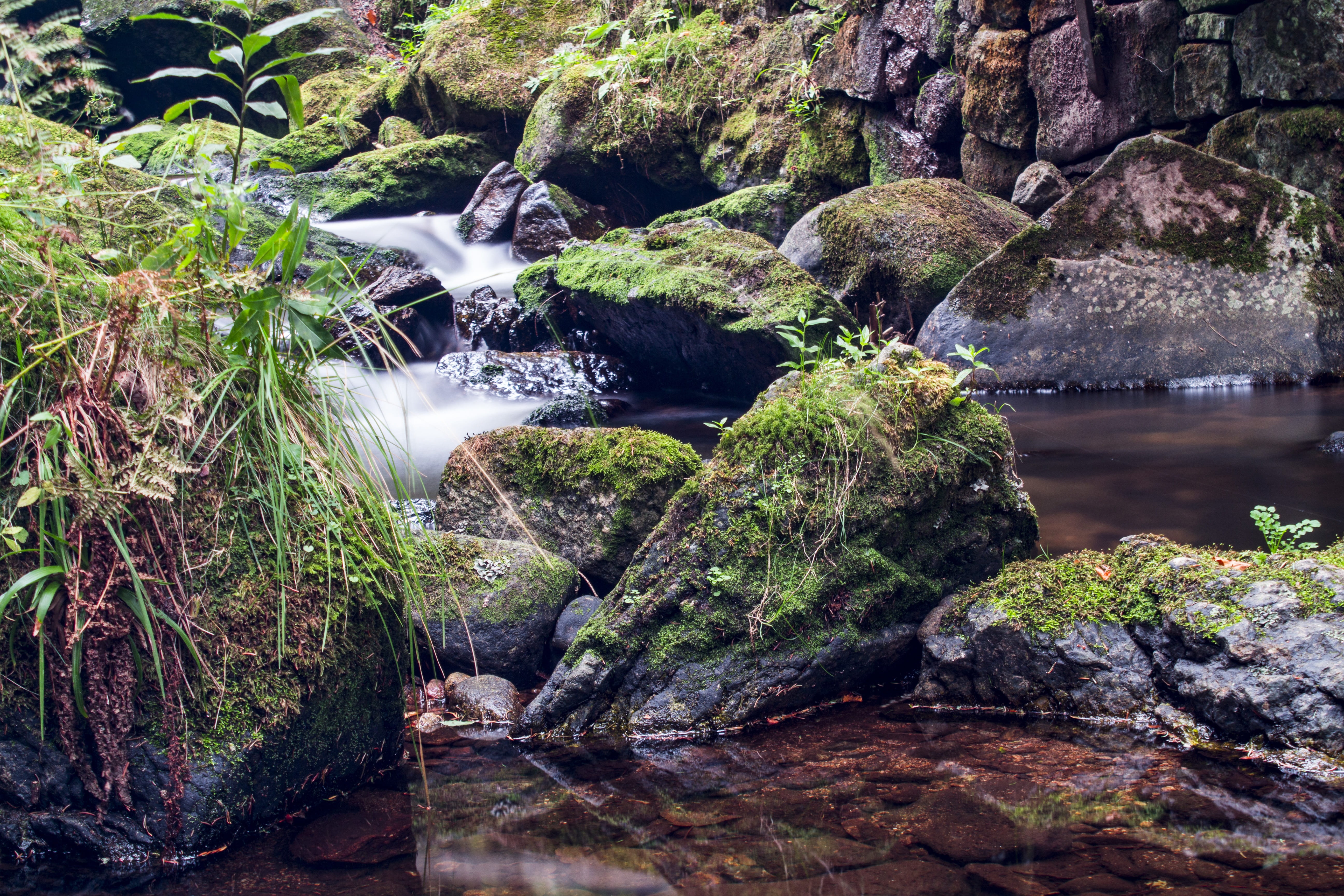 lake, moss, rock waters, water running, rocky waters, flowing water, bach, plant, cascade, creek, wülfershausen, nature reserve, mountain, waterfall, outdoors, HD Wallpaper