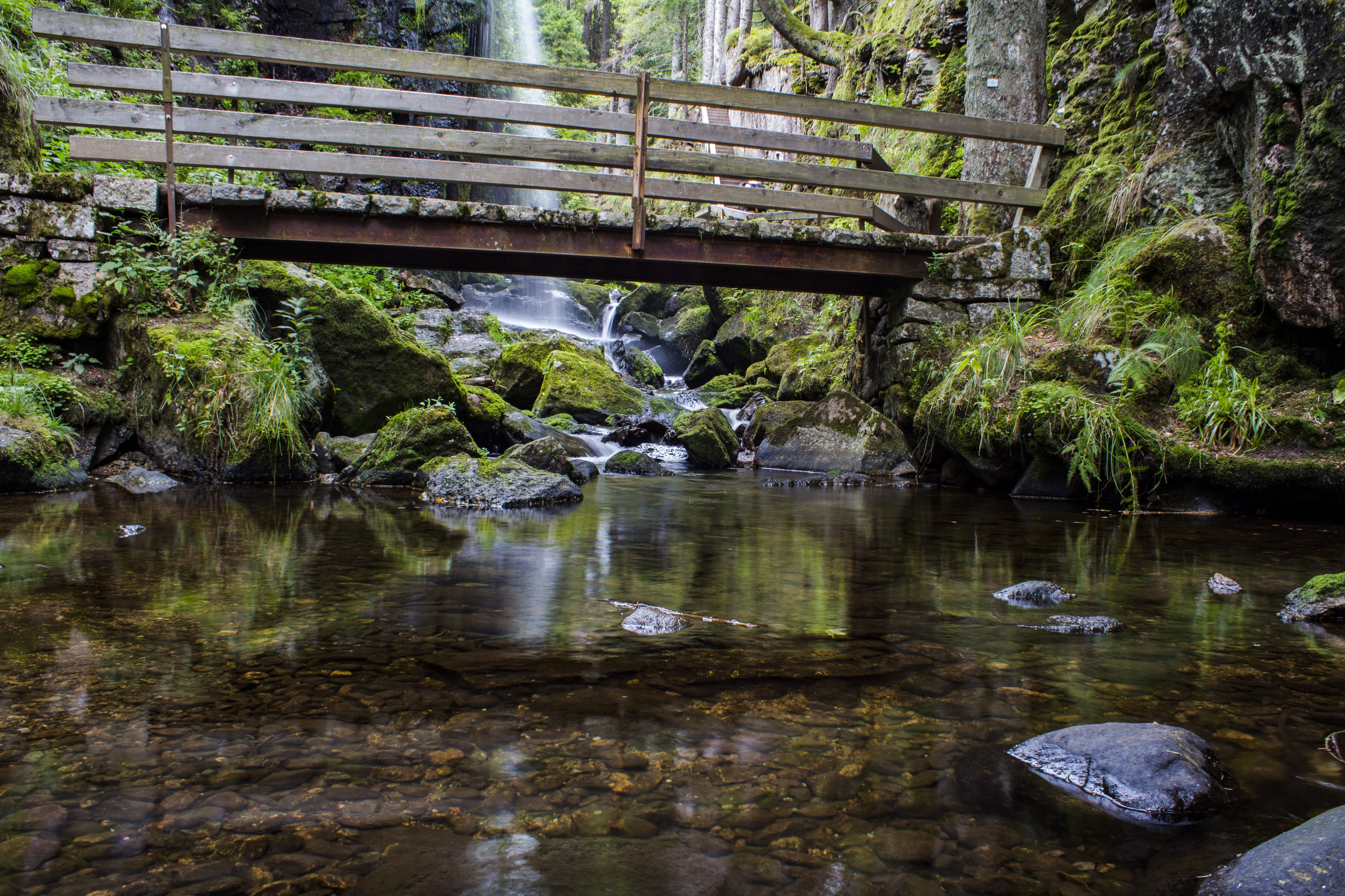 nature, forest, nature reserve, river, environment, tranquil scene, solid, water, day, bridge - man made structure, no people, bridge, responsibility, cascade, HD Wallpaper