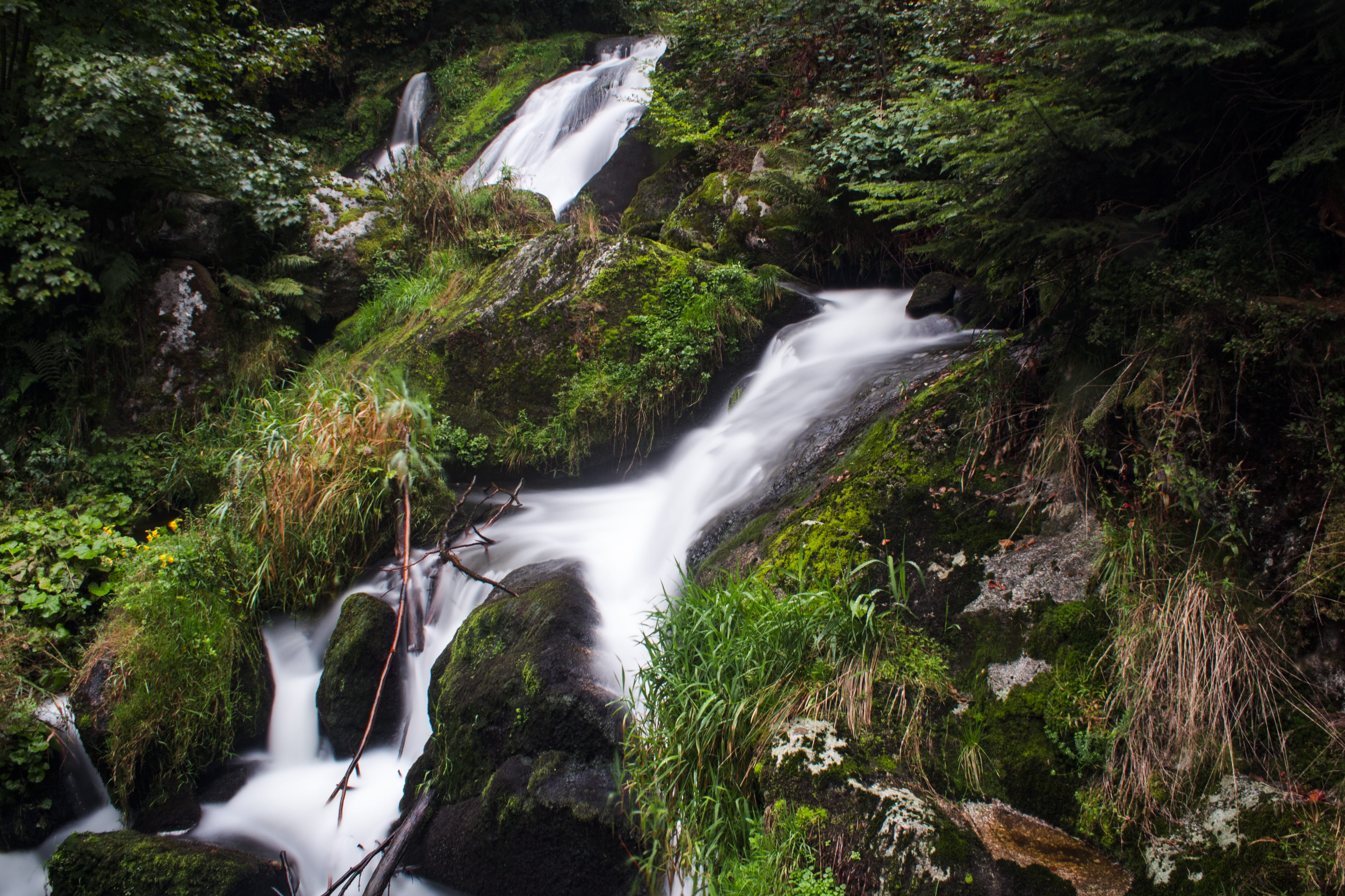flowing water, cascade, moss, wet, tree, no people, water running, water, scenics - nature, creek, landscape, stone, green, beauty in nature, motion, water feature, HD Wallpaper