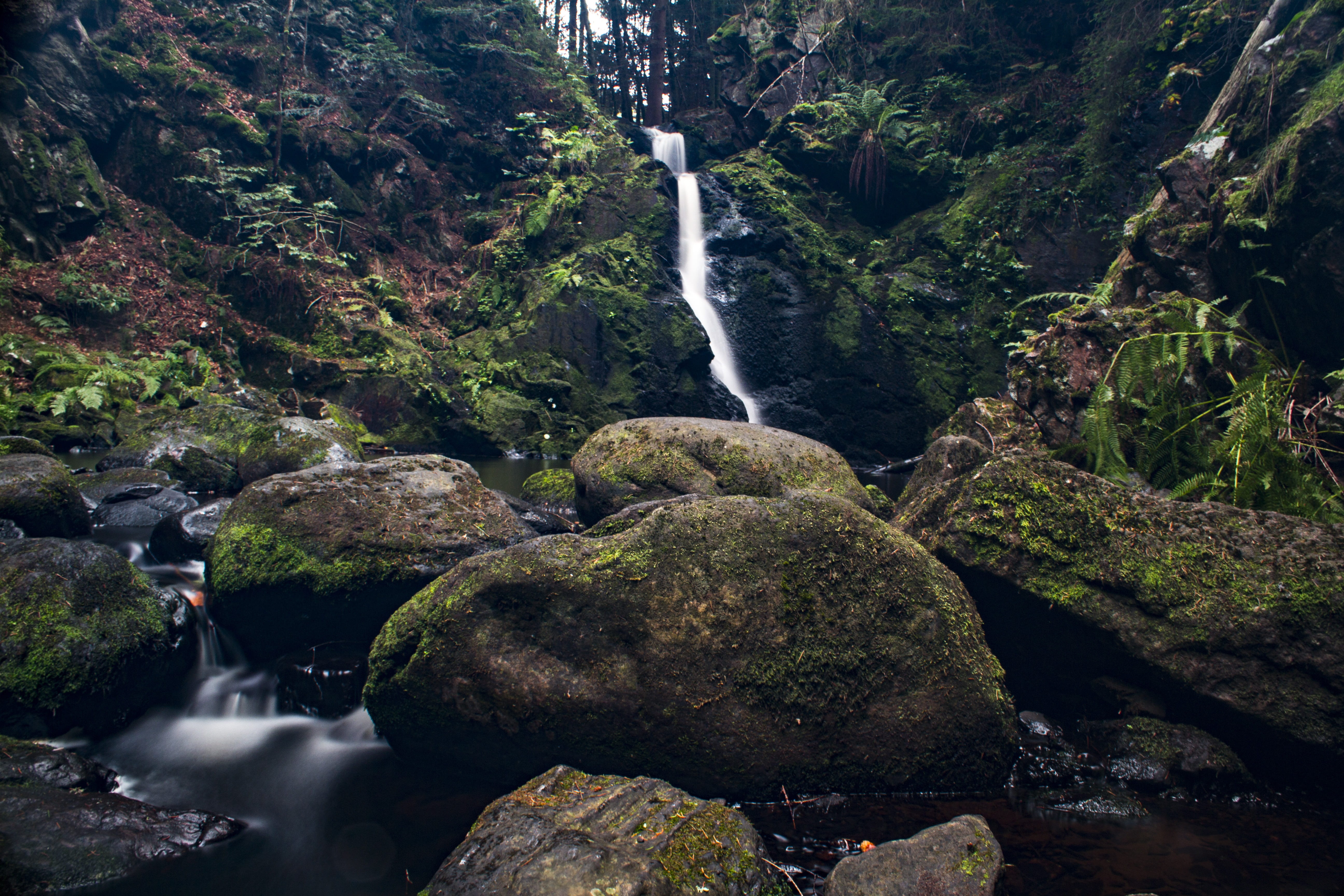 movement, plant, main-image, bach, beauty in nature, nature reserve, liquid, cascade, outdoors, hills, tree, solid, rocky waters, shore stones, water feature, HD Wallpaper