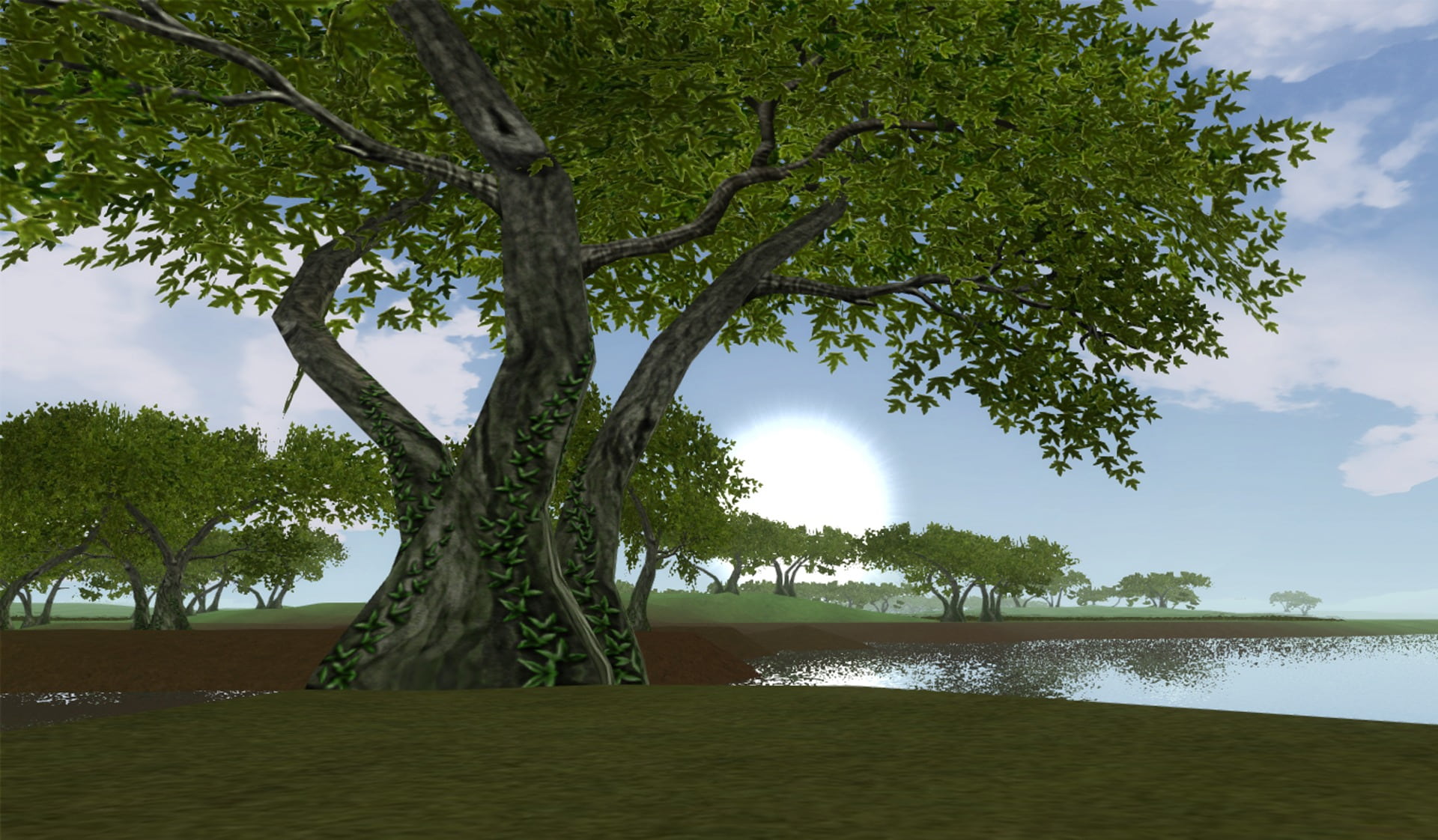 trees, sun, green, sea, outdoors, sky, nature, no people, beauty in nature, land, leafed, 3d, beach, water, tranquility, green color, tranquil scene, summer, HD Wallpaper