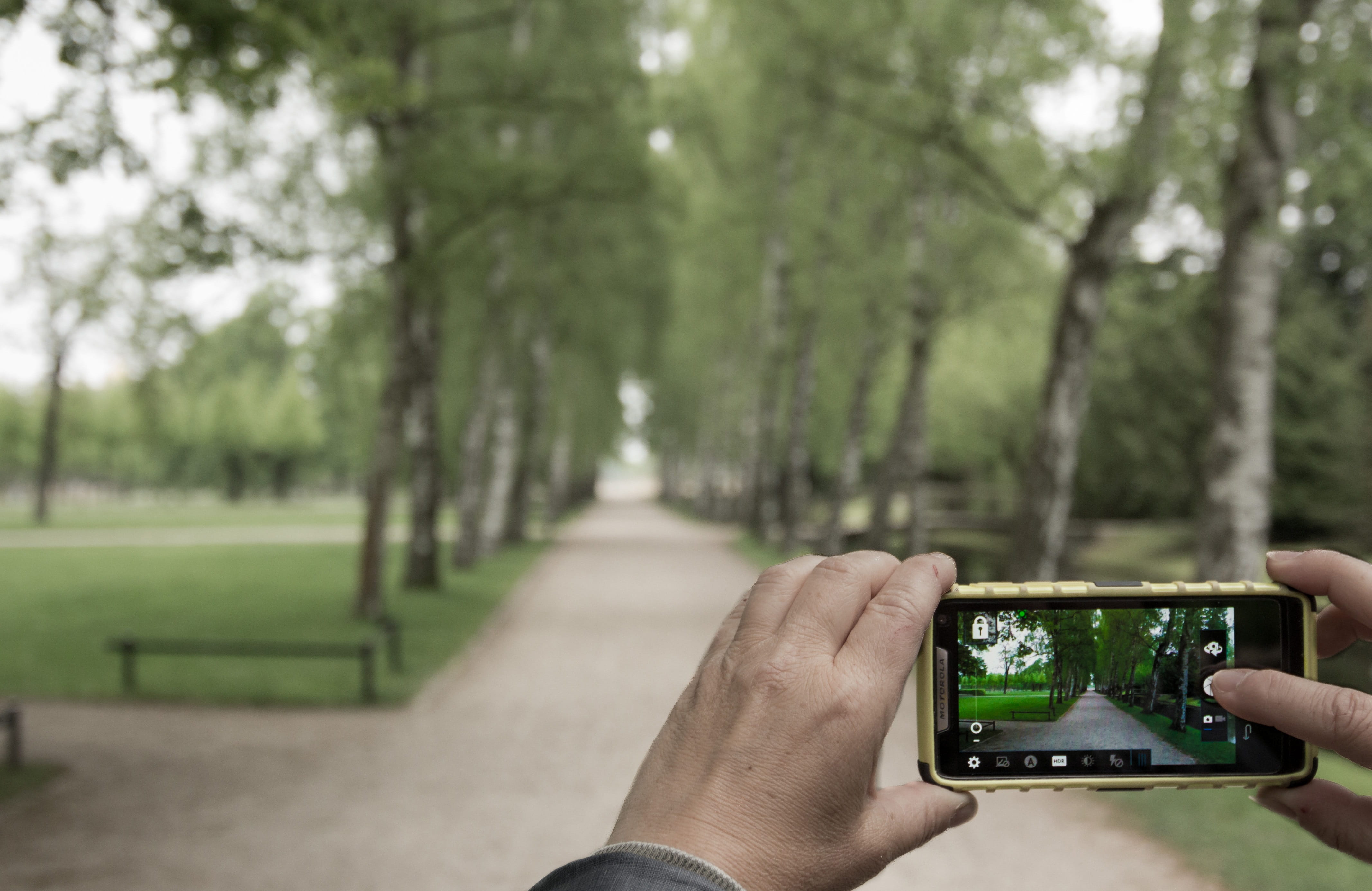 4K, unschaerfebereiche, smart phone, one person, human body part, park, wireless technology, photographing, Out Of Focus, technology, hand, holding, photography themes, HD Wallpaper