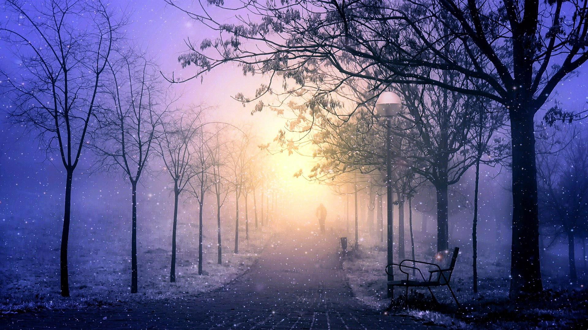 sidewalk, park, snowfall, snow, seat, 1080P, evening, life, HD Wallpaper