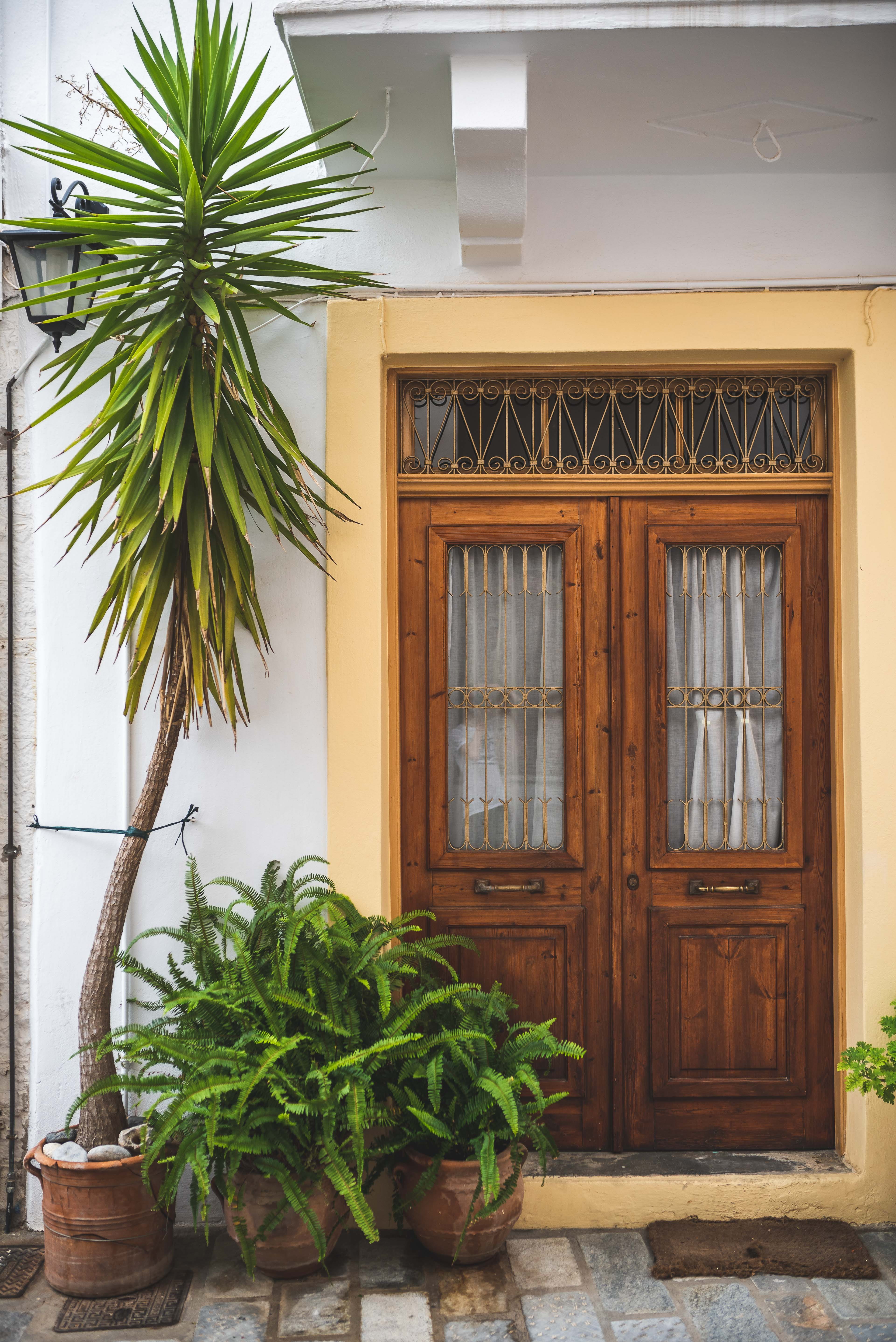 wooden, daylight, plants, green color, green, potted plant, pots, nature, house, doorway, doors, leaf, no people, built structure, flower pot, wooden doors, Phone HD Wallpaper