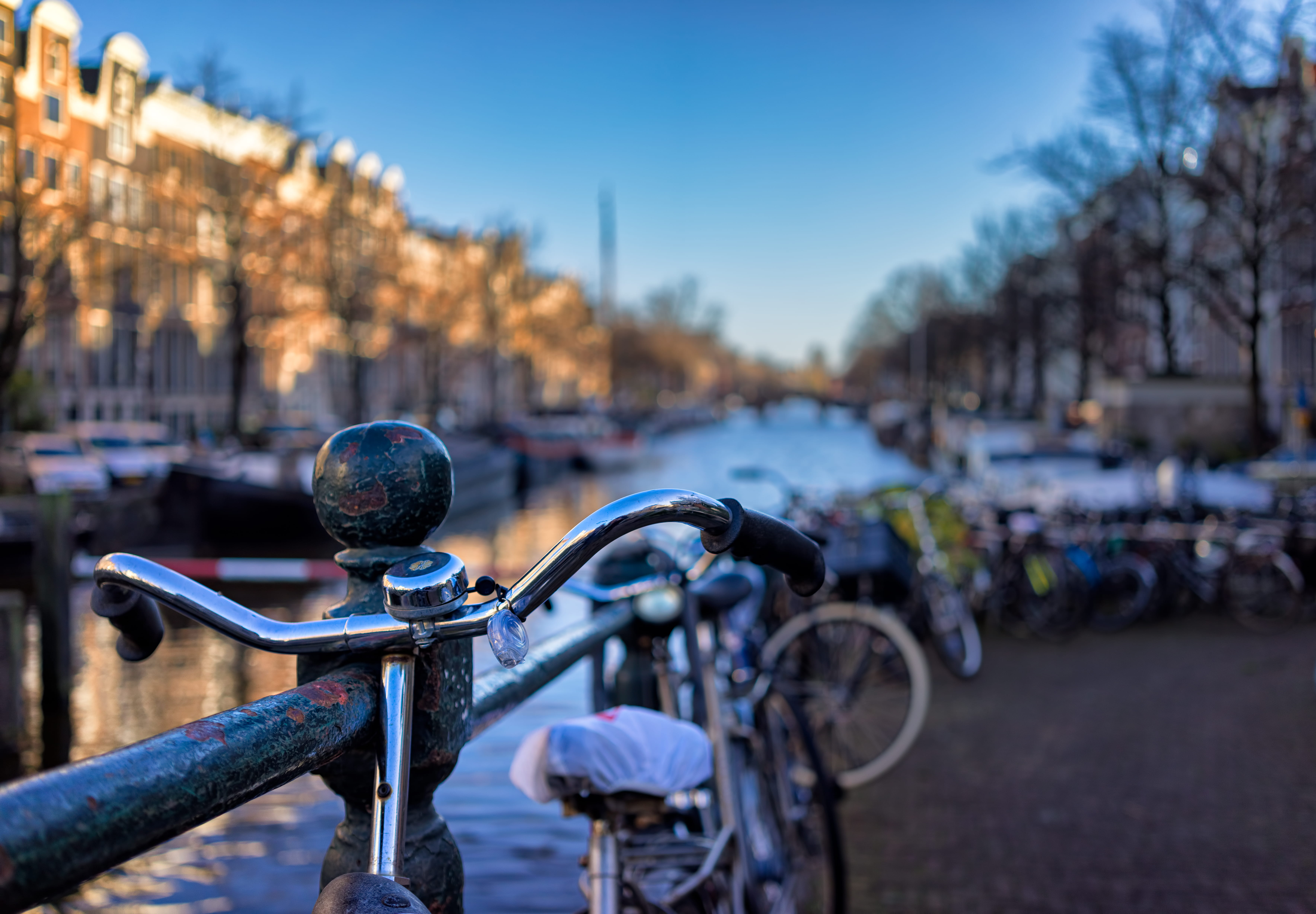 no people, railing, city, tree, bicycle, sky, street, day, dusk, outdoors, 5K, canal, stationary, binnenstad, mode of transportation, built structure, HD Wallpaper