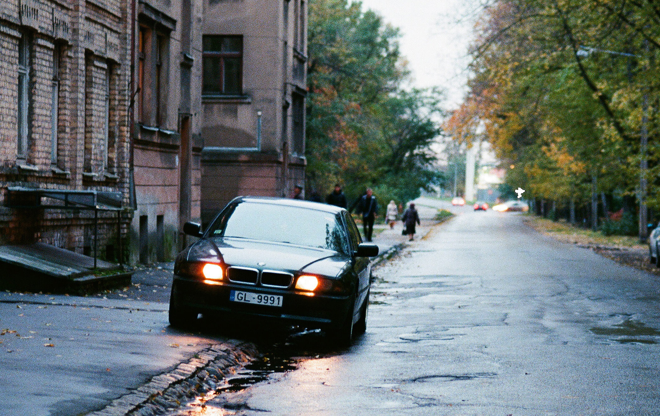 yard, the city, motor vehicle, seven, nature, tree, bmw, 1080P, location, direction, the way forward, change, street, transportation, no people, place, HD Wallpaper