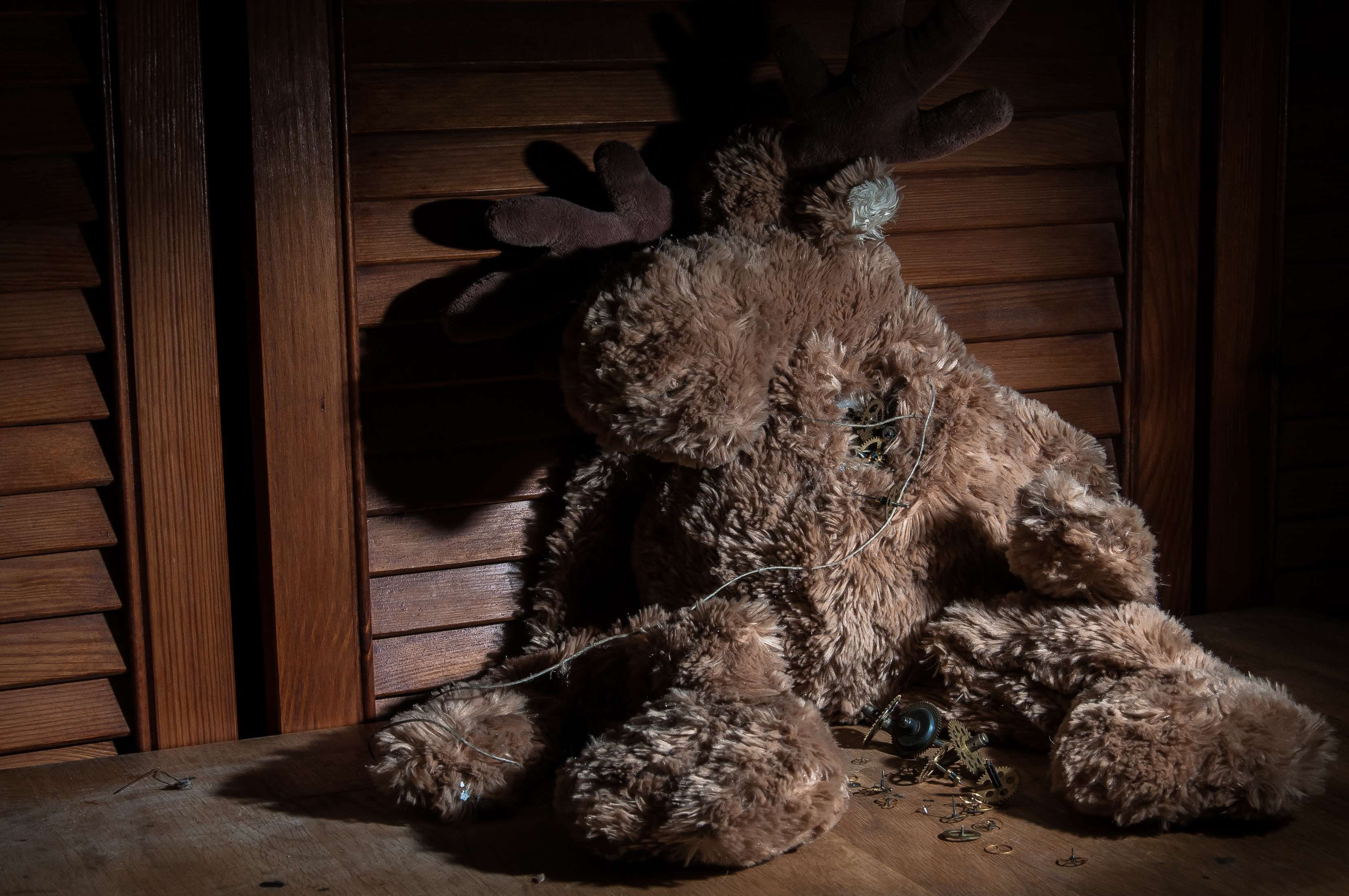 relaxation, vertebrate, toy, broken, day, domestic, pets, animal, theme machines, lying down, one animal, flooring, 2K, teddy, wood - material, animal themes, HD Wallpaper
