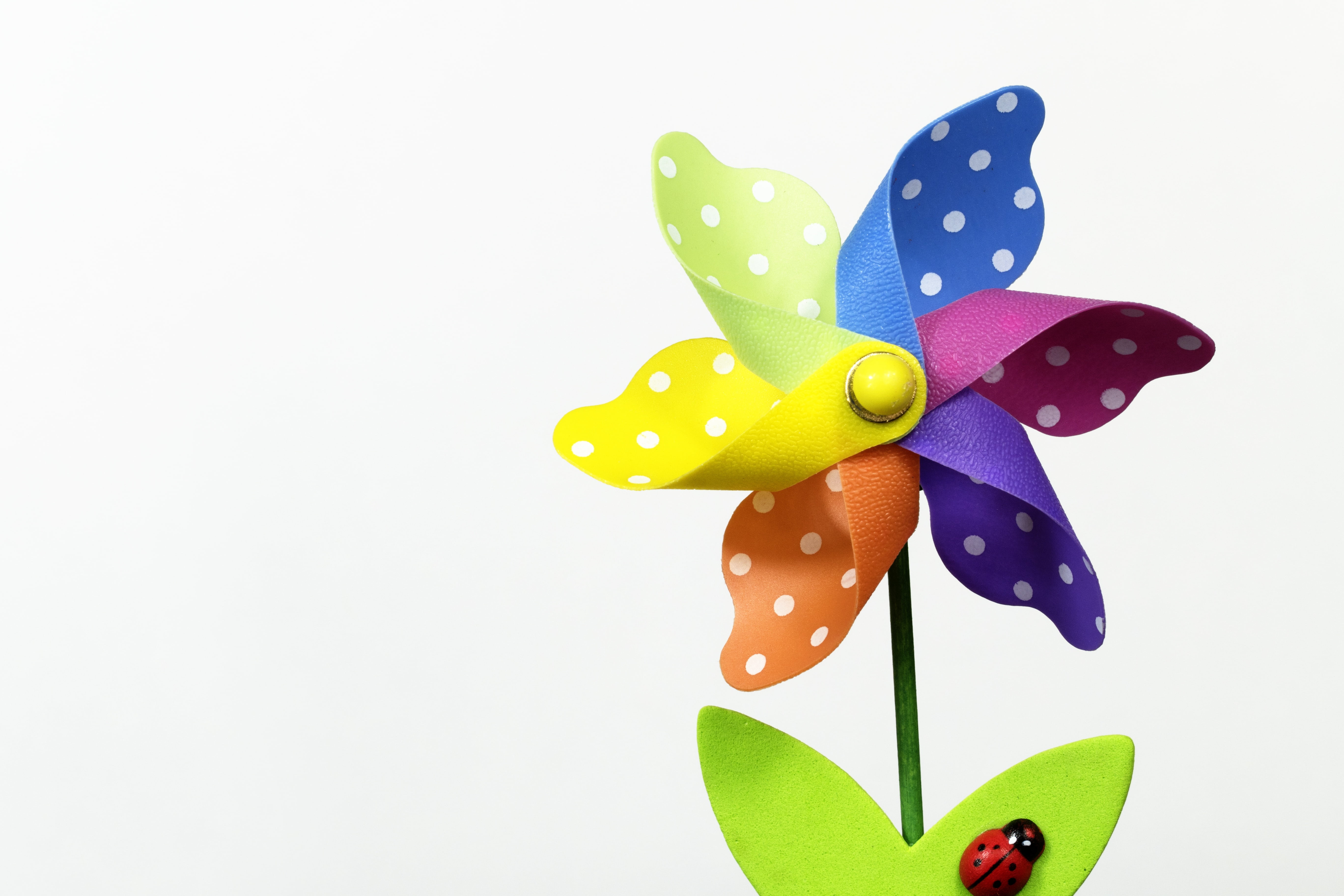 pattern, cute, colourful, plant, decoration, blossom, petal, garden, toy, spin, macro, leaf, copy space, multicolored, cut out, easter, windmill, stem, HD Wallpaper