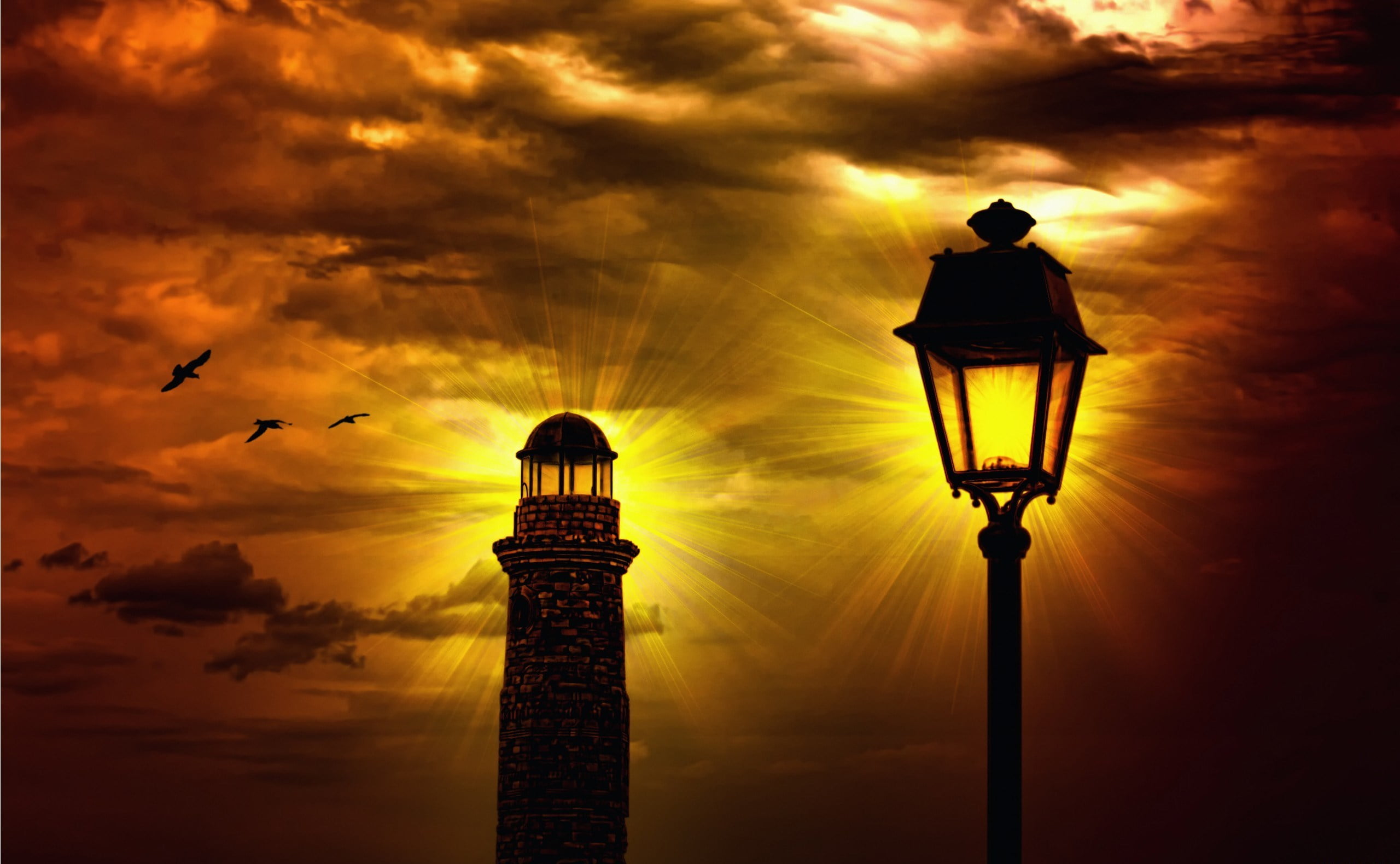 night, dramatic sky, cloud - Sky, animal themes, vertebrate, building exterior, animal wildlife, flying, silhouette, electric Lamp, famous Place, history, HD Wallpaper