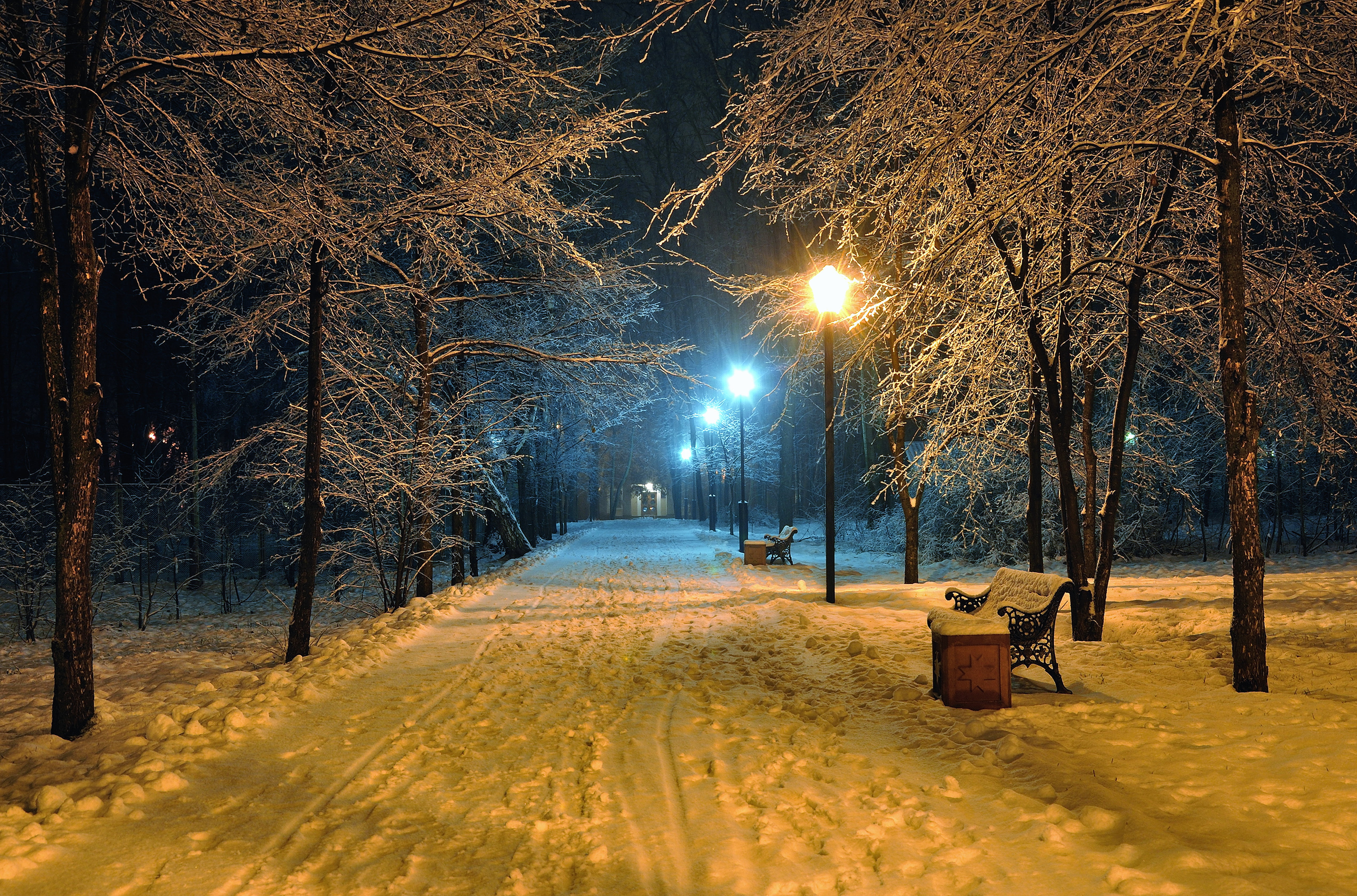 outdoors, winter snowy park, winter snow Park, single Lane Road, footpath, lighting equipment, beautiful scene, winter, snowing, covering, bare tree, scenics, HD Wallpaper
