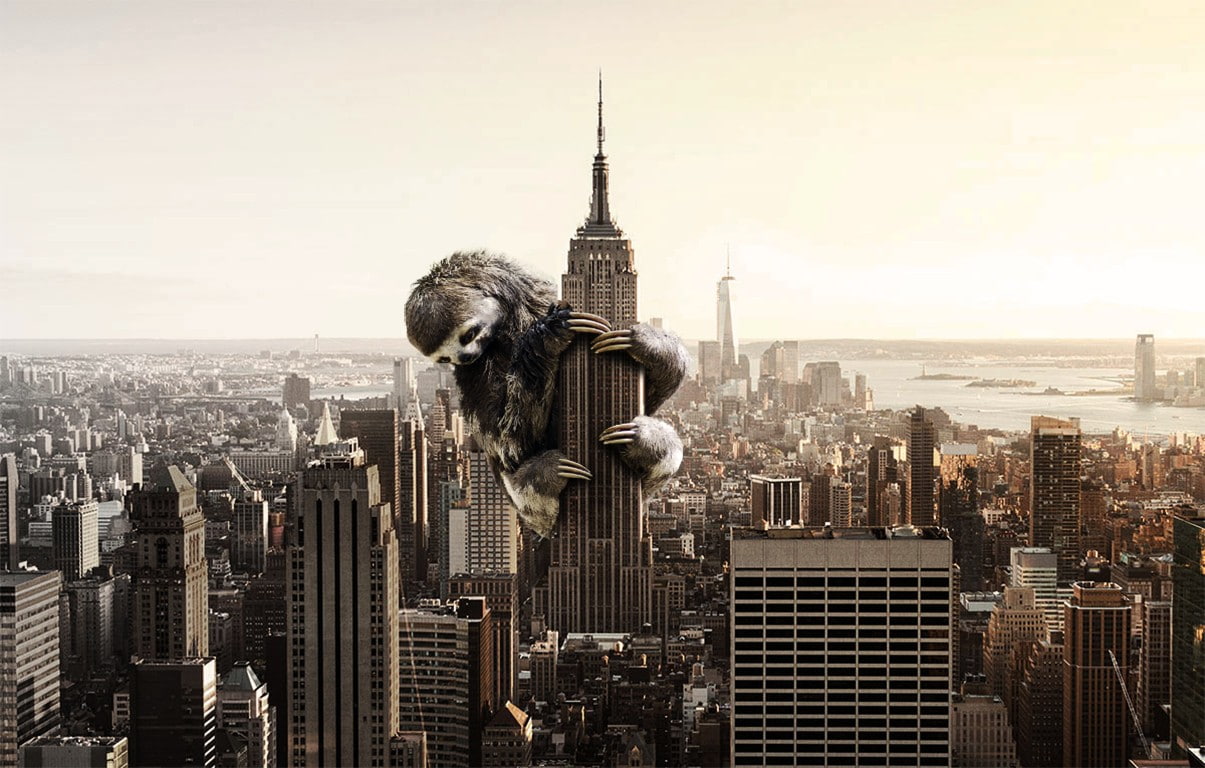 people, hd, 480P, 1205x768 px, Skyscrapper, sloths, px, redheads, art, x, City, HD Wallpaper
