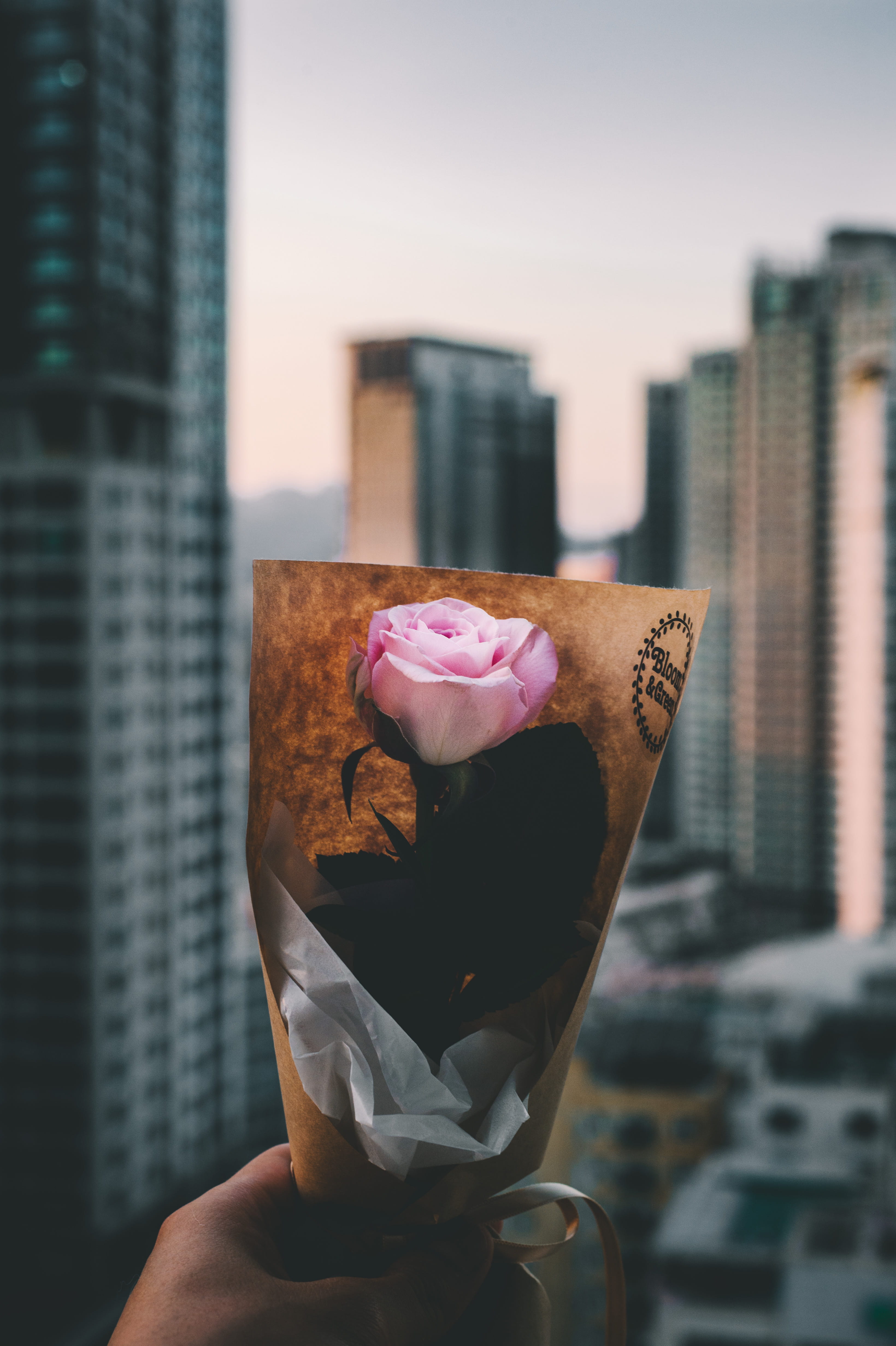 romantic, business, bouquet, rose - Flower, skyscrapper, beautiful, beauty, holding, building, rooftop, 4K, love, day, romance, backgrounds, flower, pink, Phone HD Wallpaper