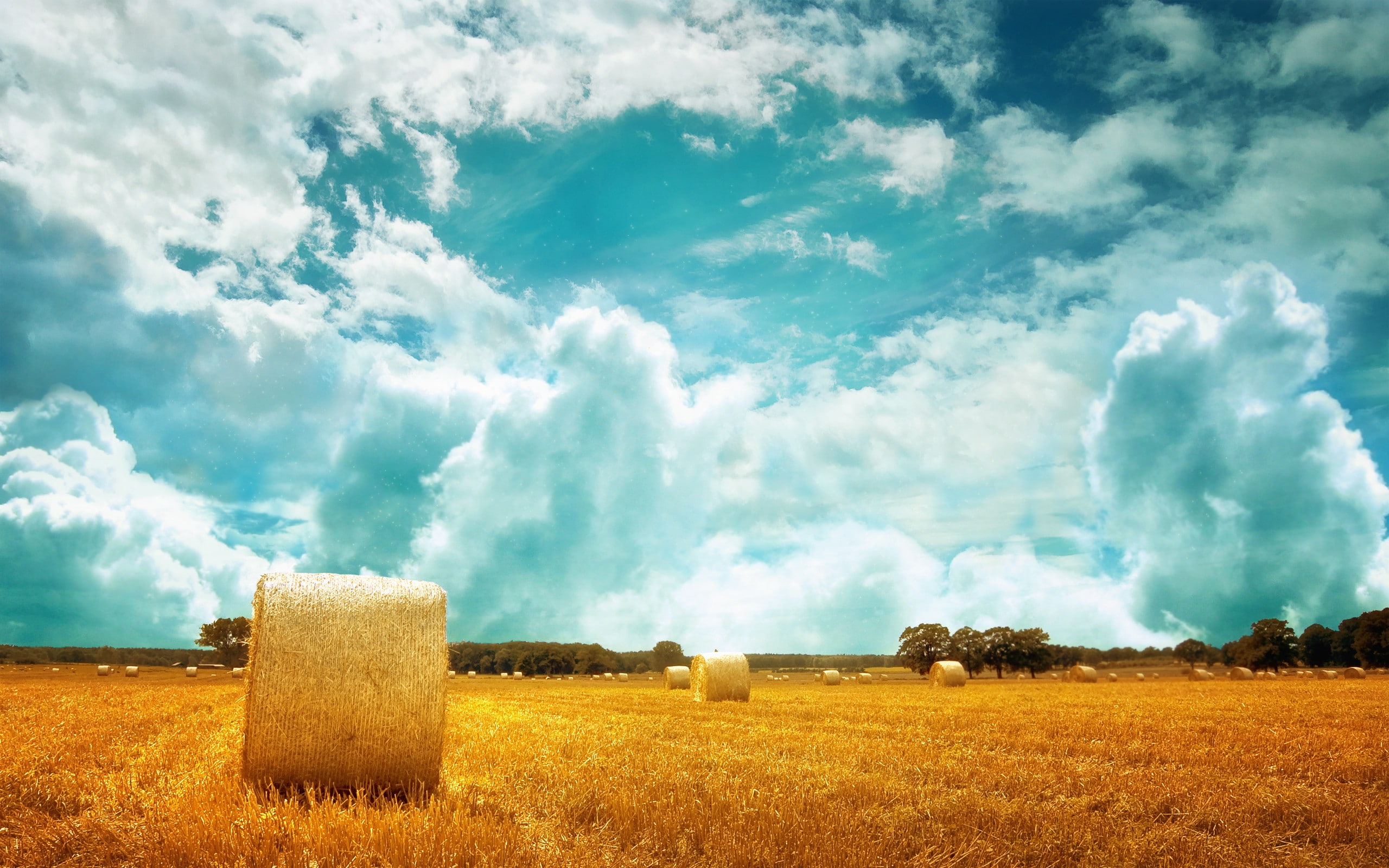 field, sky, landscape, 2K, clouds, haystacks, HD Wallpaper