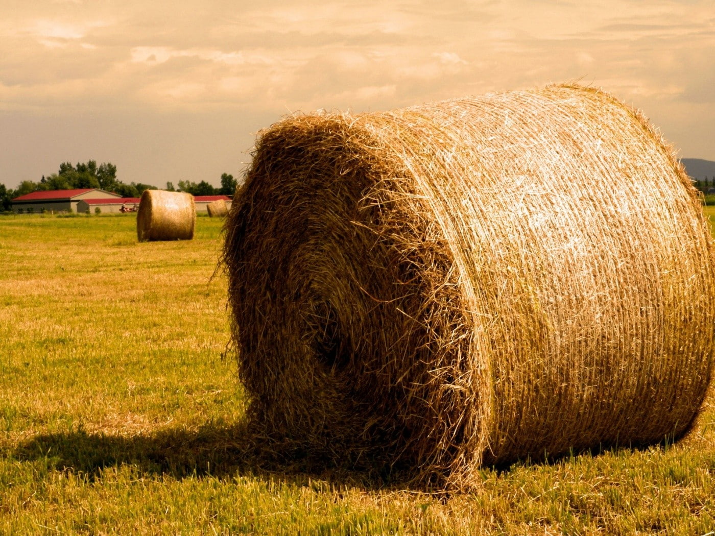 environment, nature, sky, harvesting, 720P, hay, horizon, haystacks, grass, yellow, rural scene, farm, cloud - sky, plant, no people, landscape, bale, HD Wallpaper