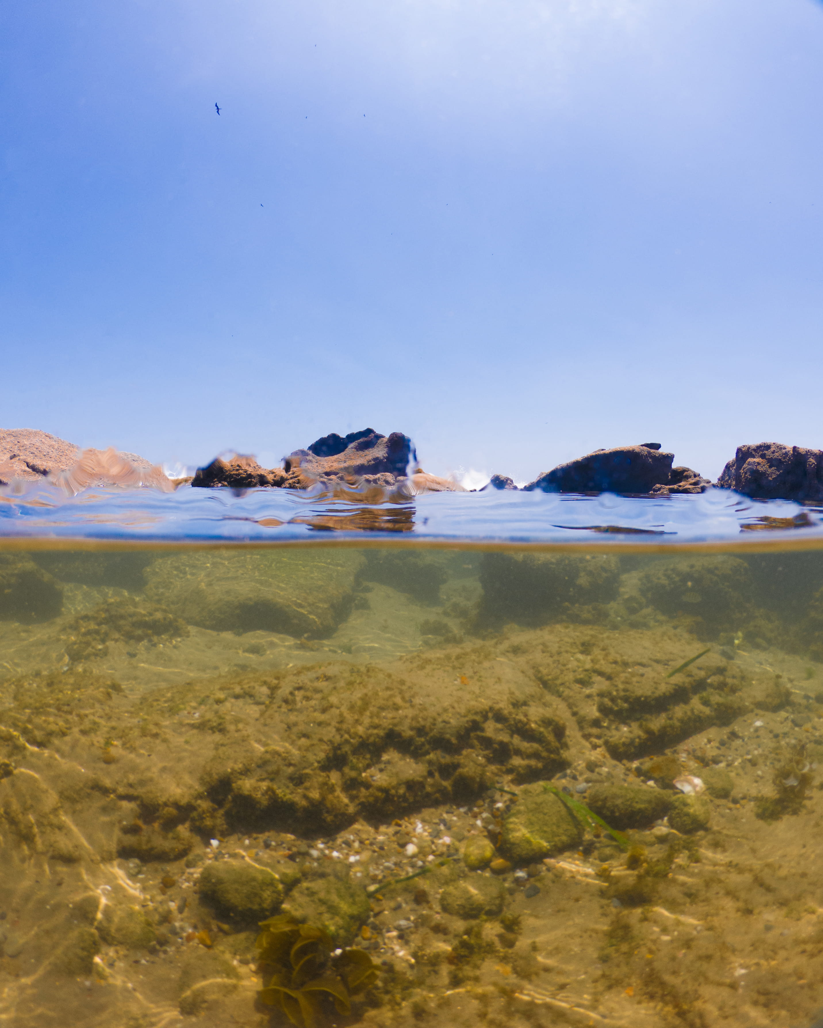 domo, reef, day, animal, water, land, natural, goprohero6, sea, blue, marine, nature, split, dome, gopro, polarpro, mancora, surface level, green, scenics - nature, Phone HD Wallpaper