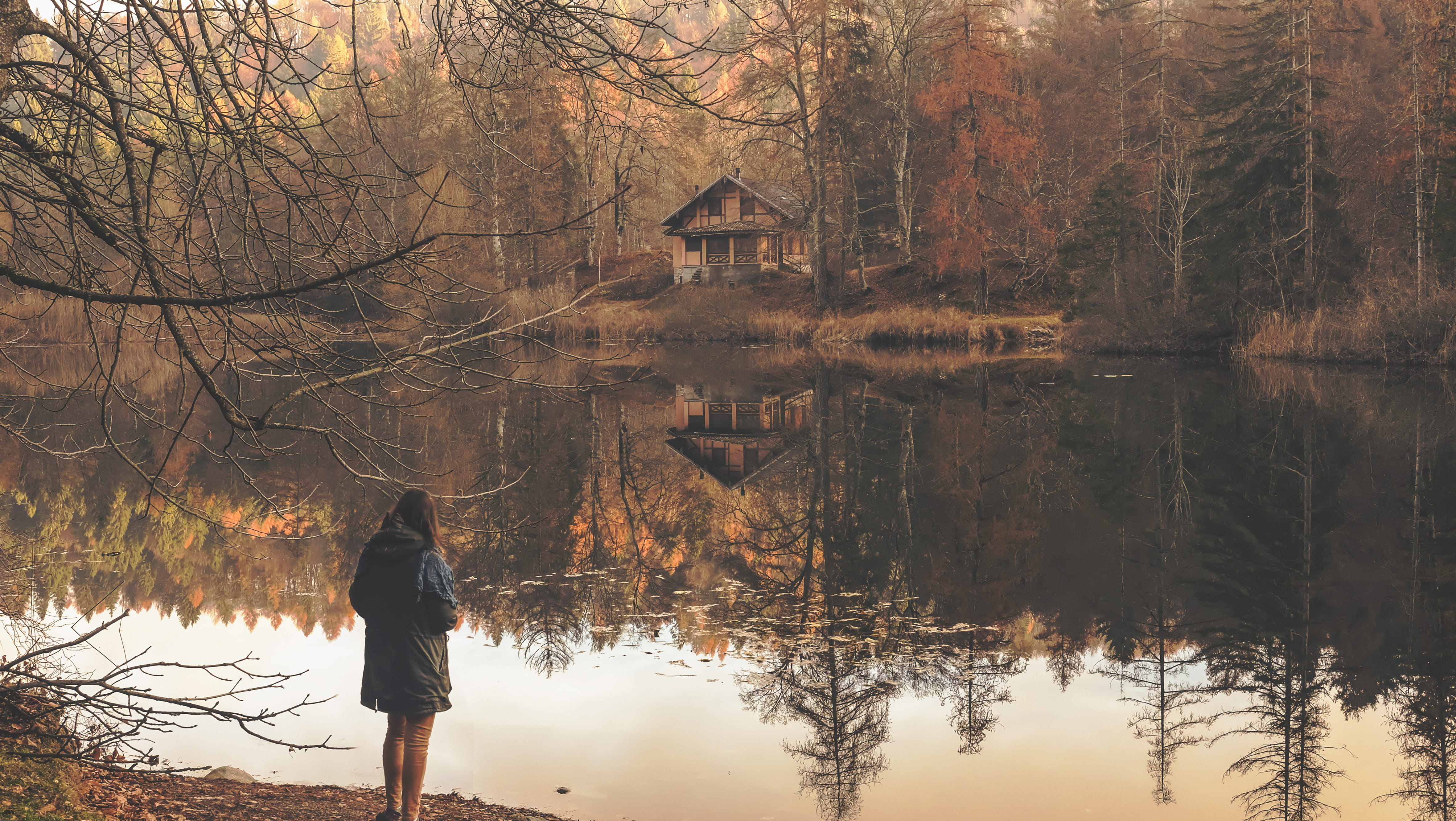 tree, real people, waterfront, looking at view, 4K, standing, scenics, change, rear view, lifestyles, full length, women, leisure activity, hooded, nature, HD Wallpaper